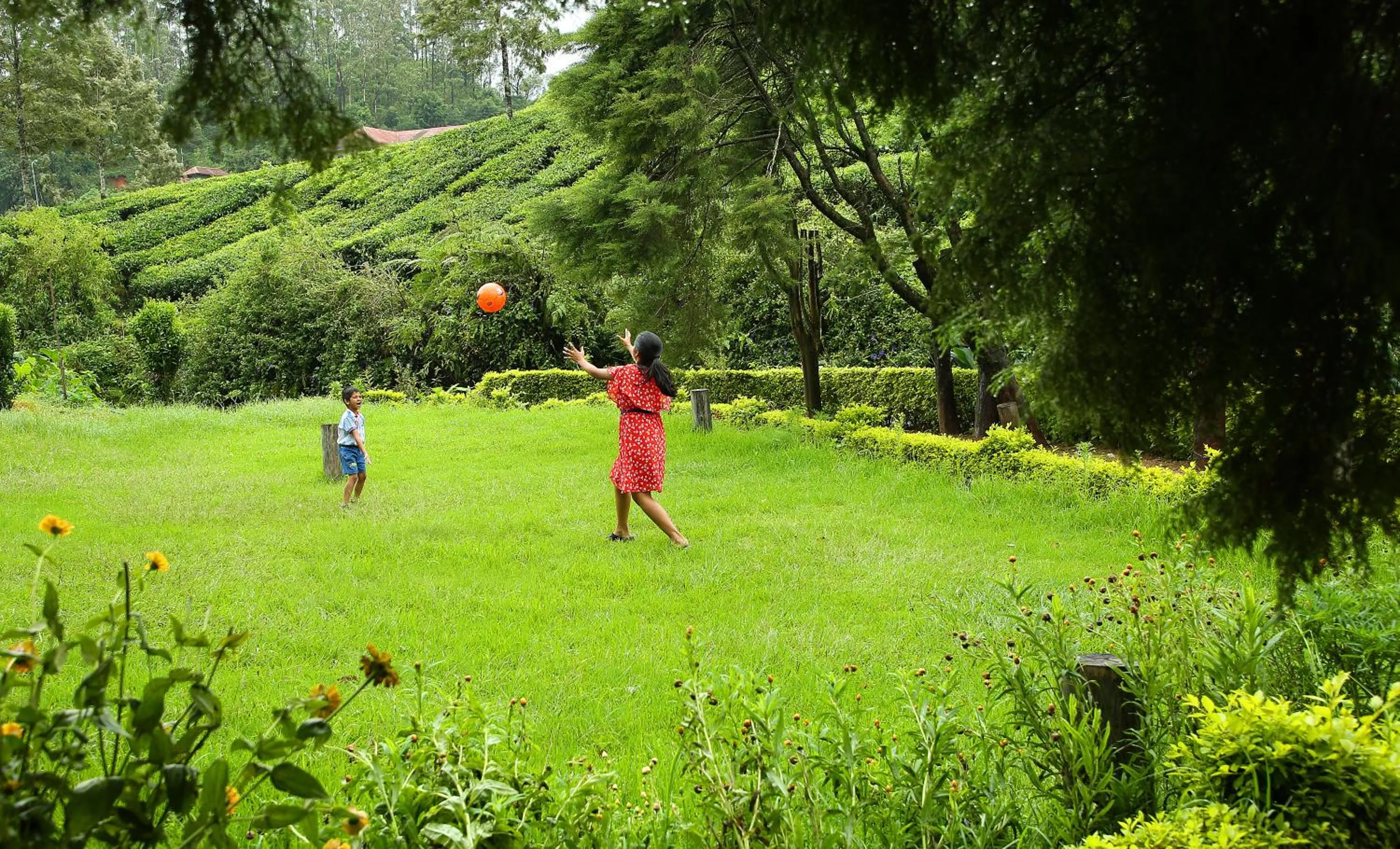 Garden in Hotel C7 Munnar
