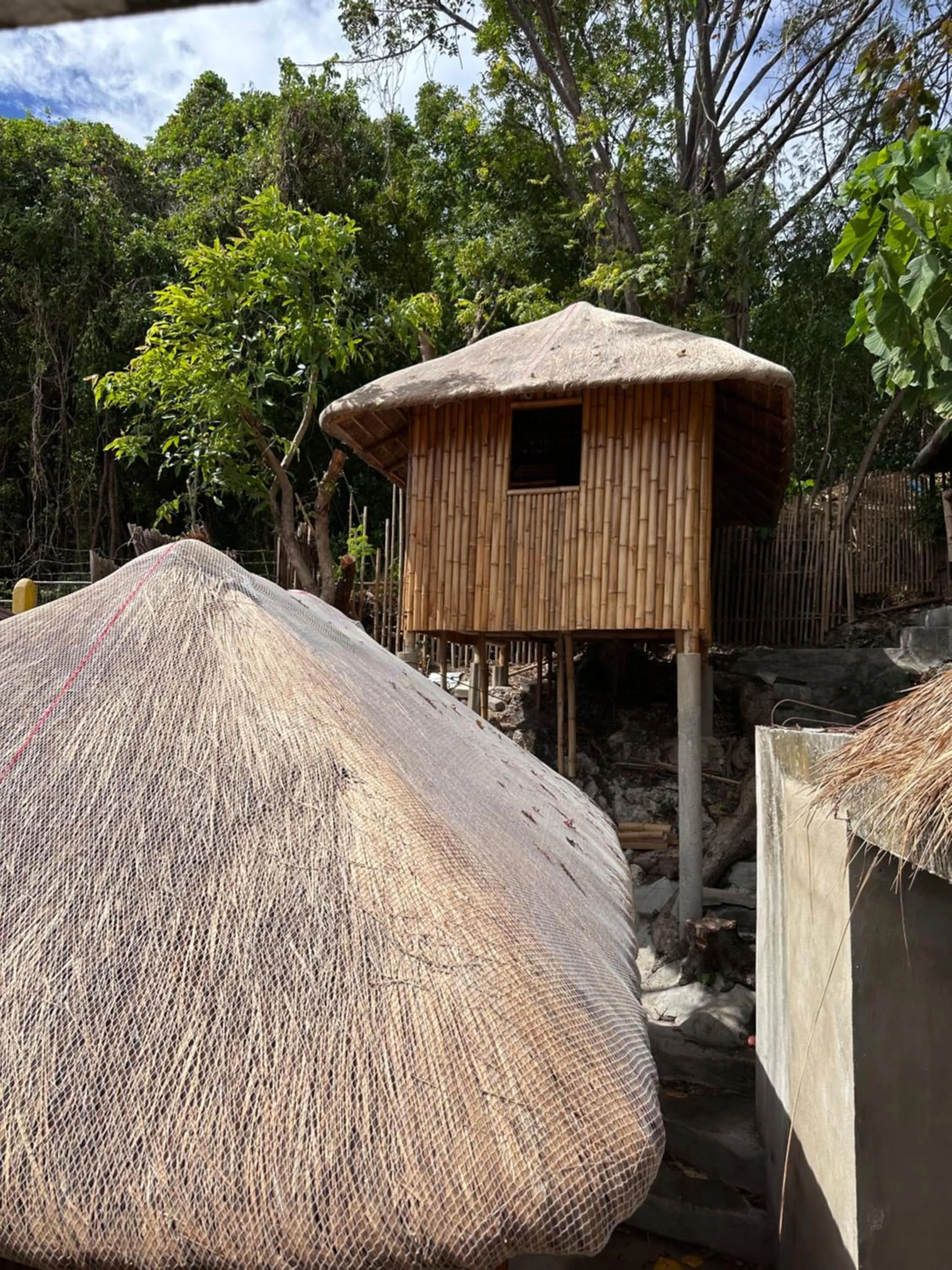 Lionfish Backpackers Hostel Malapascua