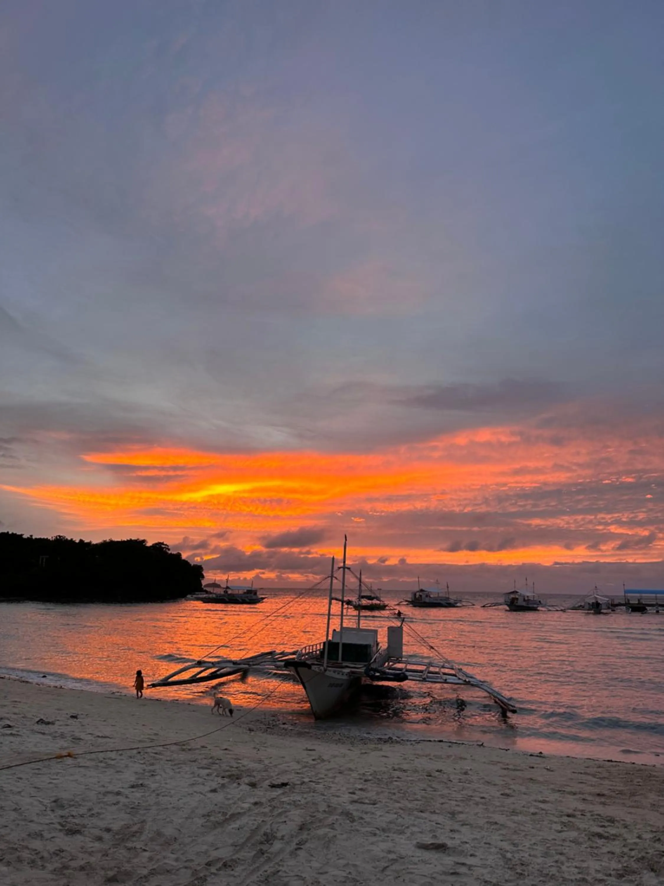 Lionfish Backpackers Hostel Malapascua