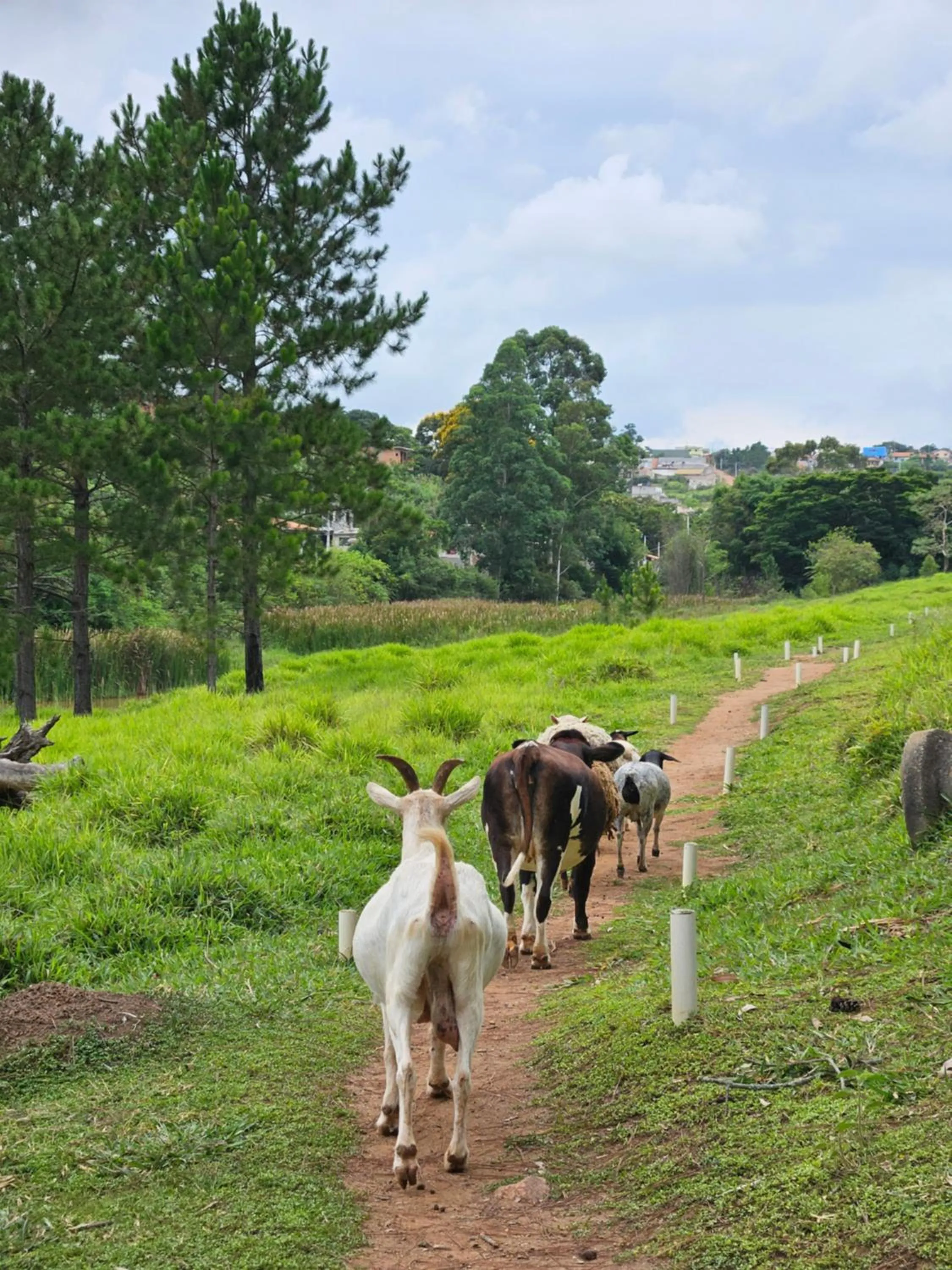 Activities in Hotel Fazenda Pirâmides
