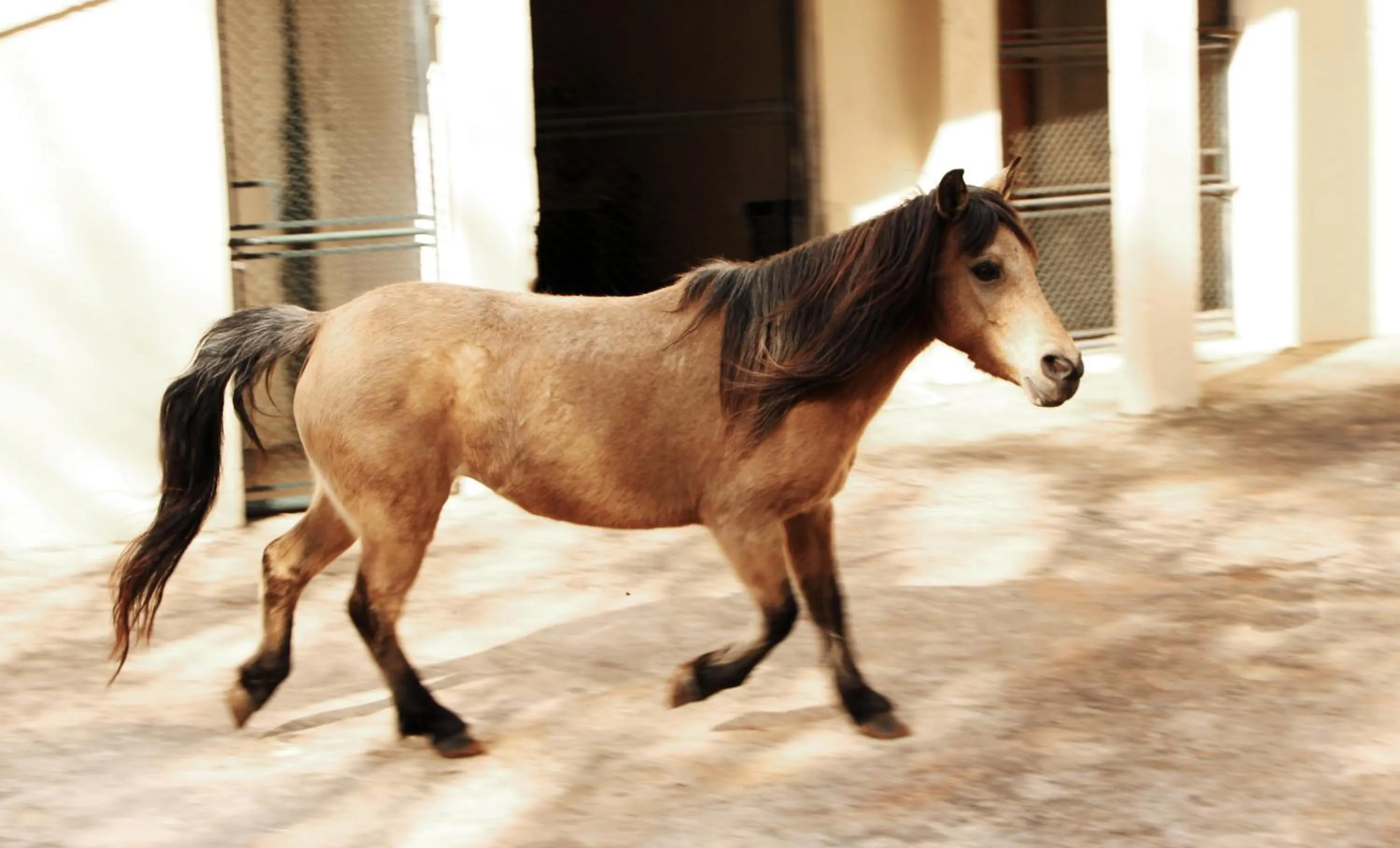 Activities in Hotel Fazenda Pirâmides