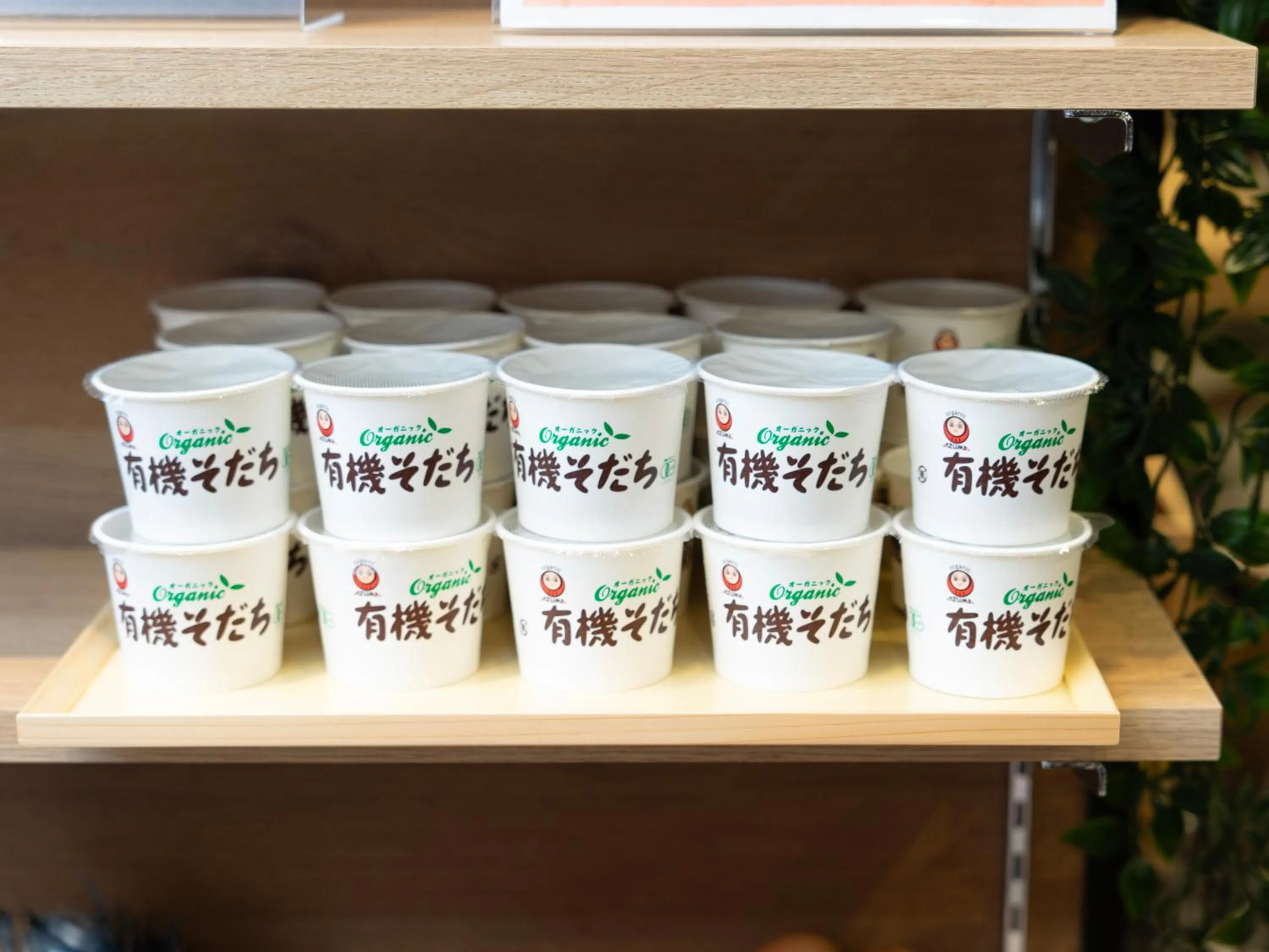 Super Hotel Shinjuku Kabukicho