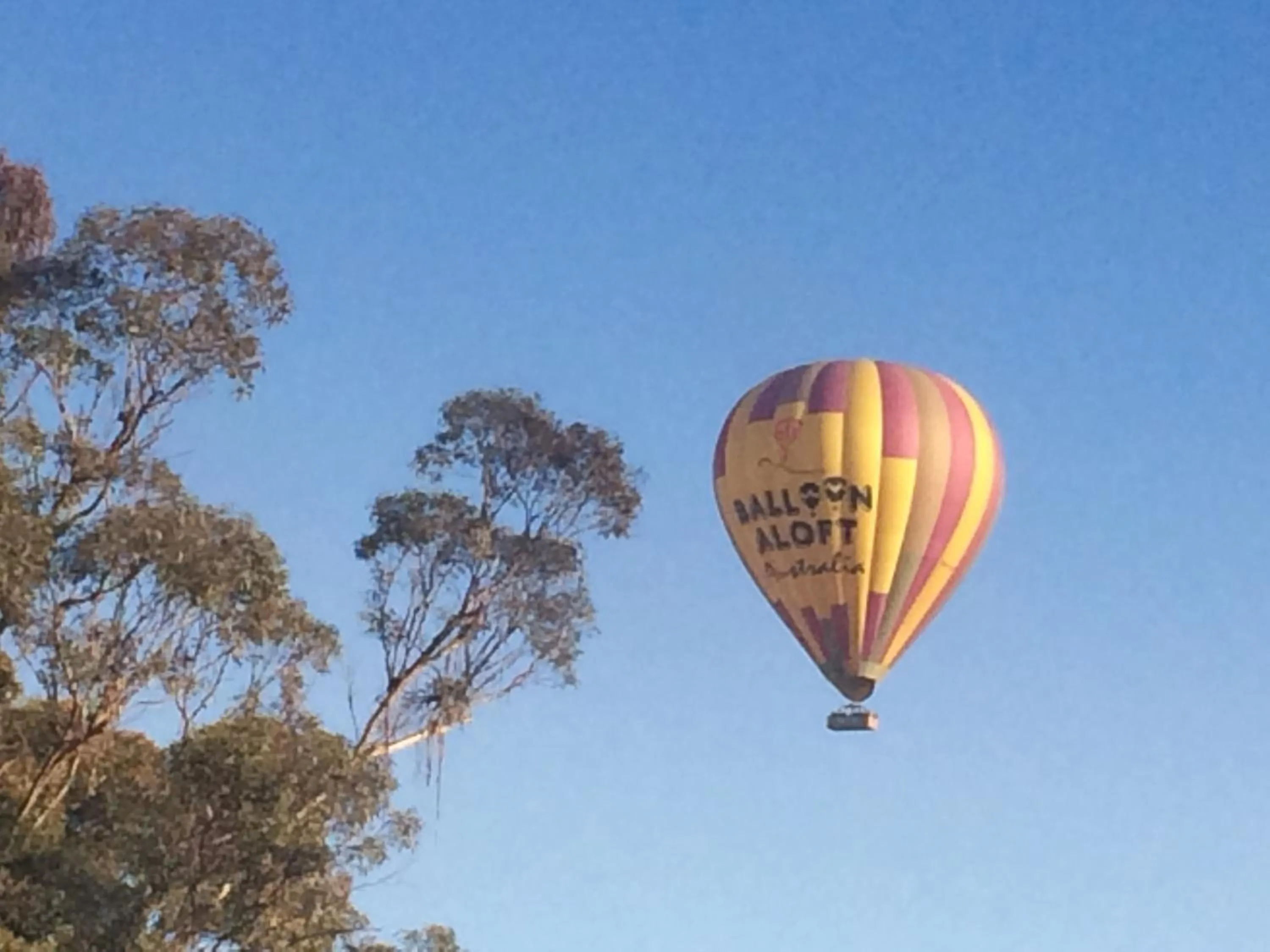 View (from property/room) in Grapevines Boutique Accommodation
