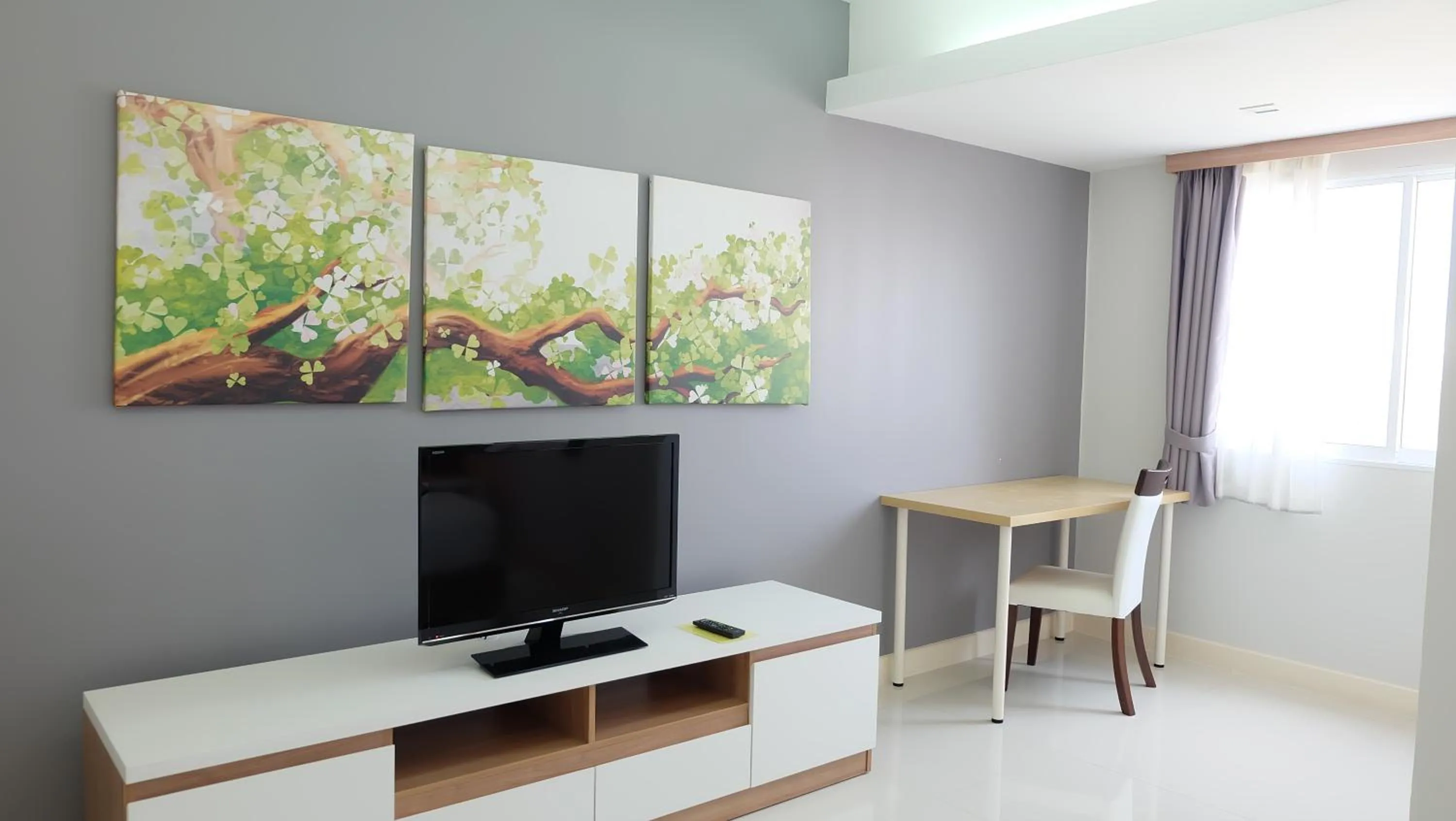 TV and multimedia in Racha Residence