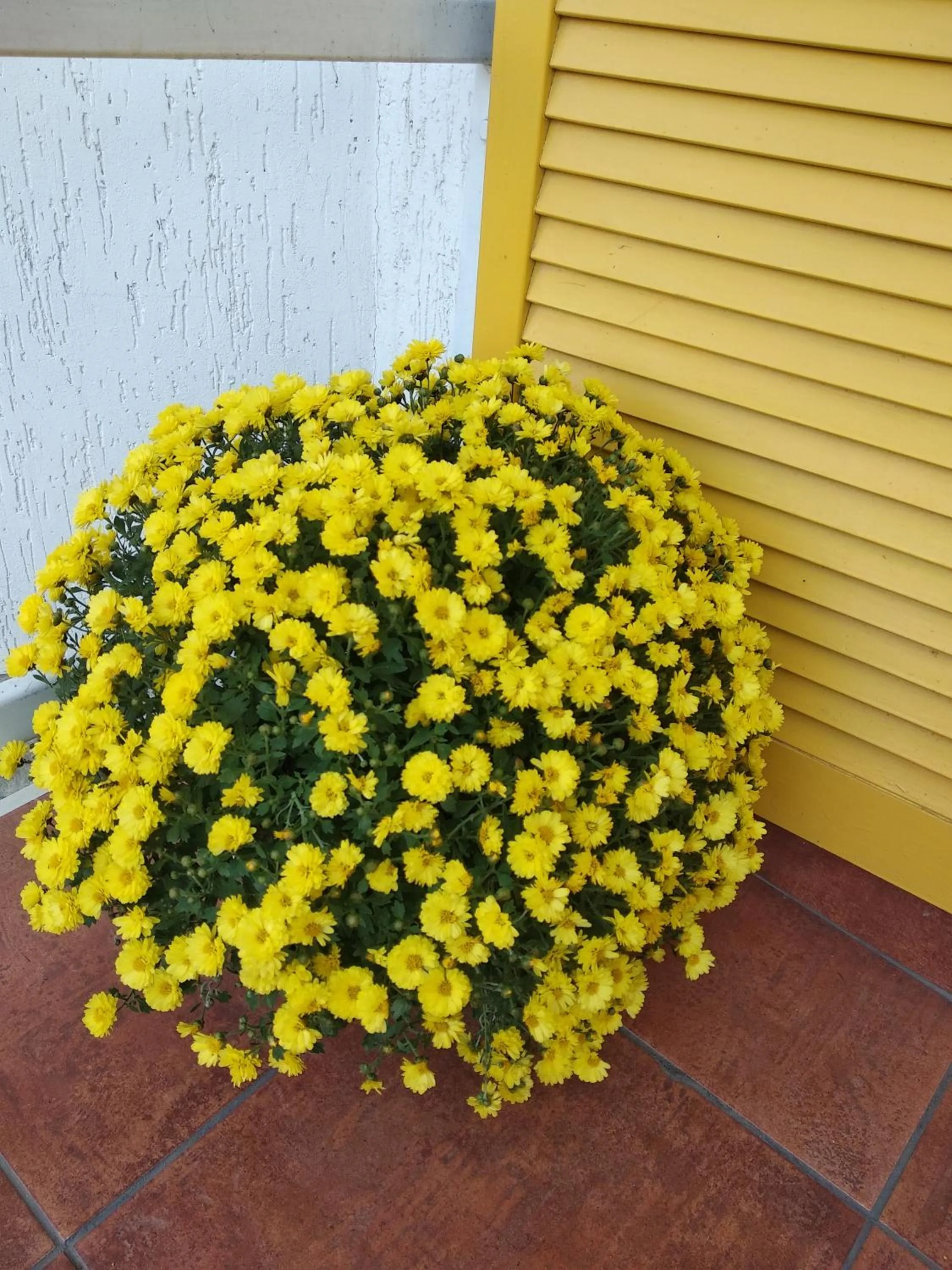 Spring in 12 Months Mini Hotel