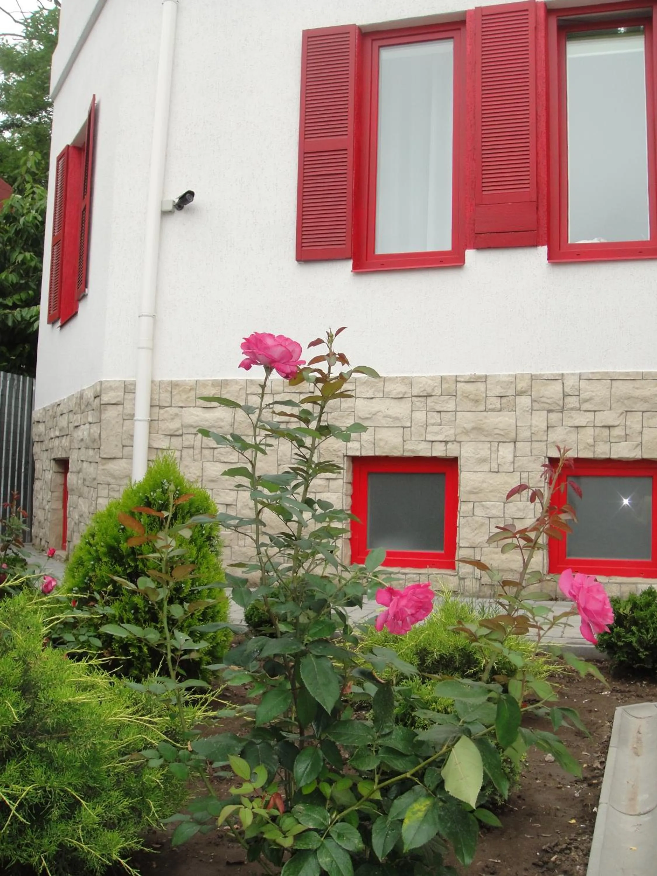 Summer in 12 Months Mini Hotel