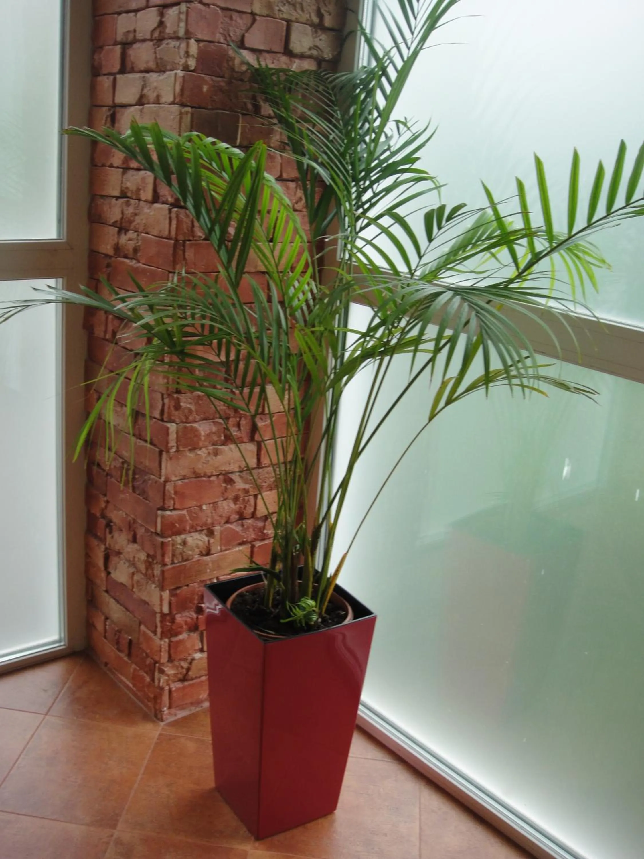 Area and facilities in 12 Months Mini Hotel