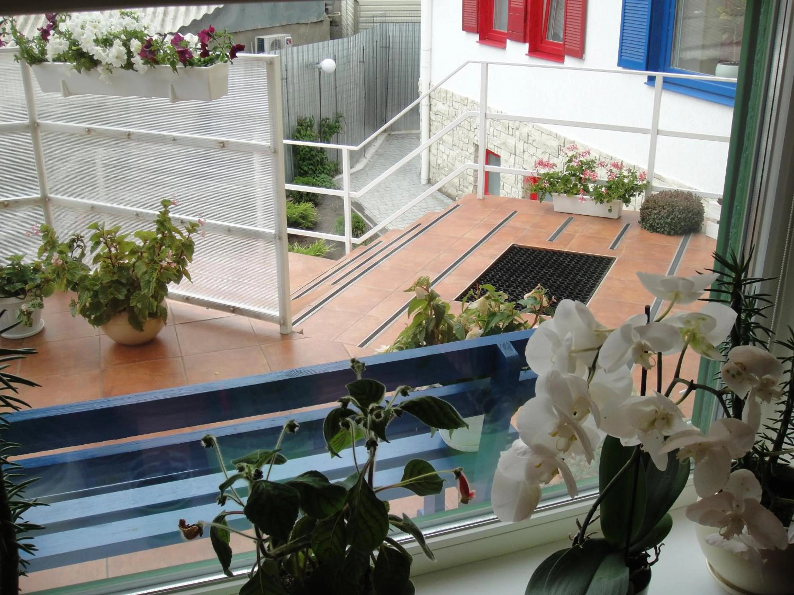 Summer in 12 Months Mini Hotel