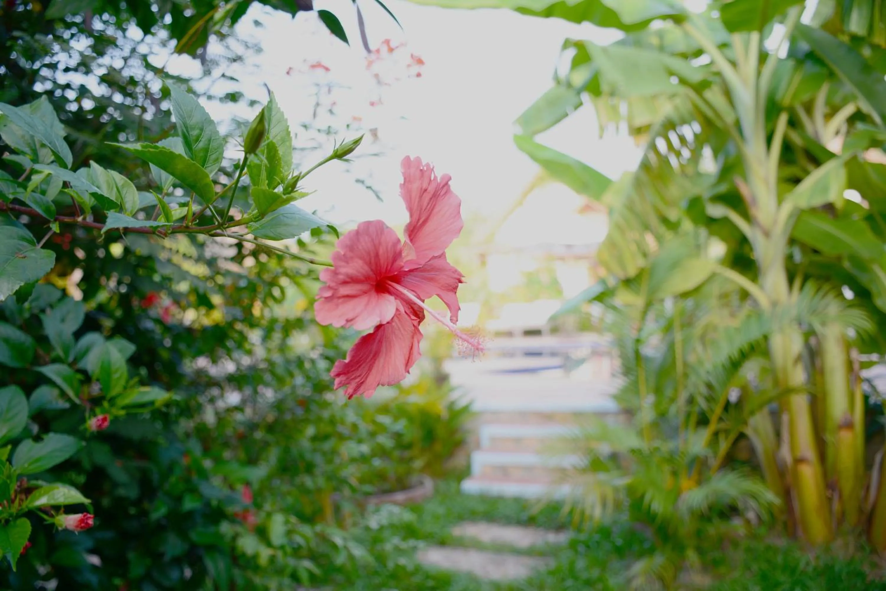 Garden in Darica Resort
