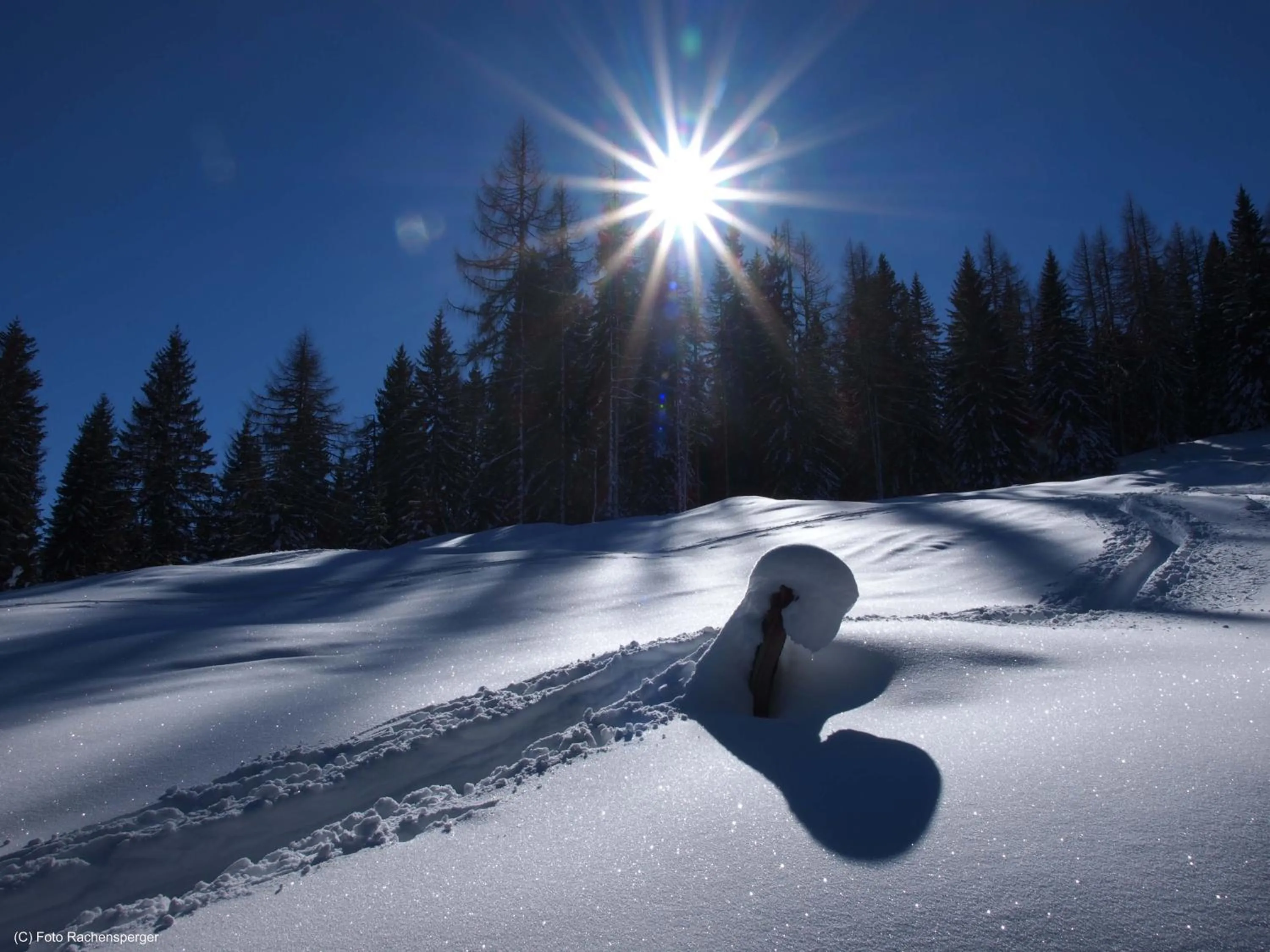 Skiing in Gasthof Pesbichl