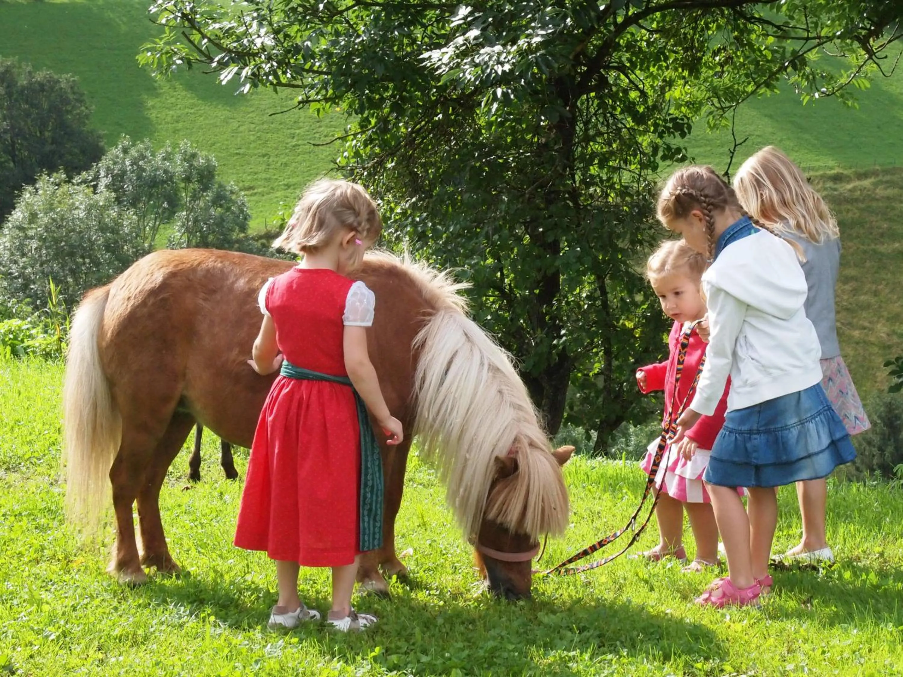 Activities in Gasthof Pesbichl