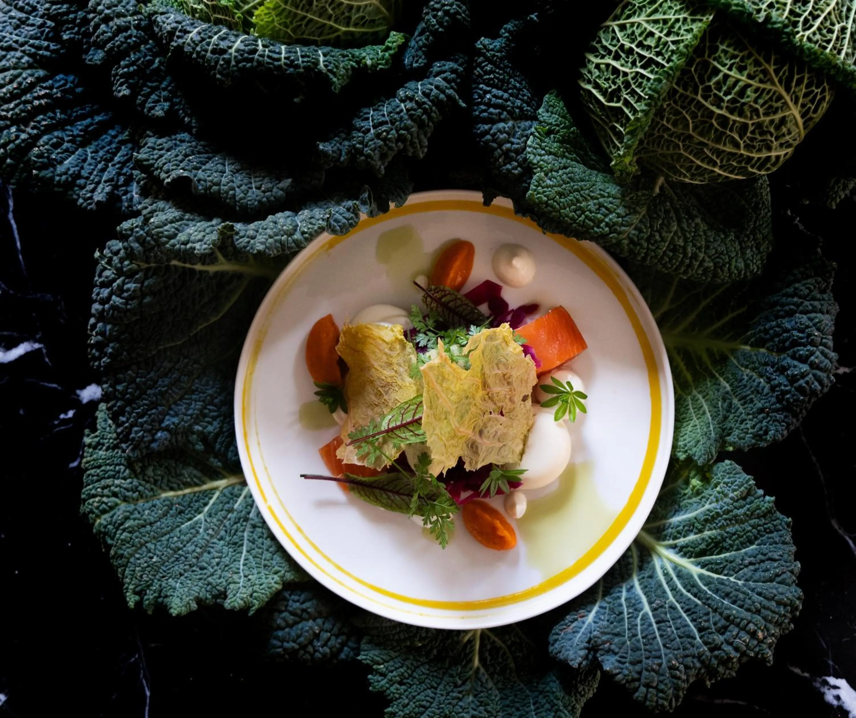 Restaurant/places to eat in Hotel de Leijhof Oisterwijk