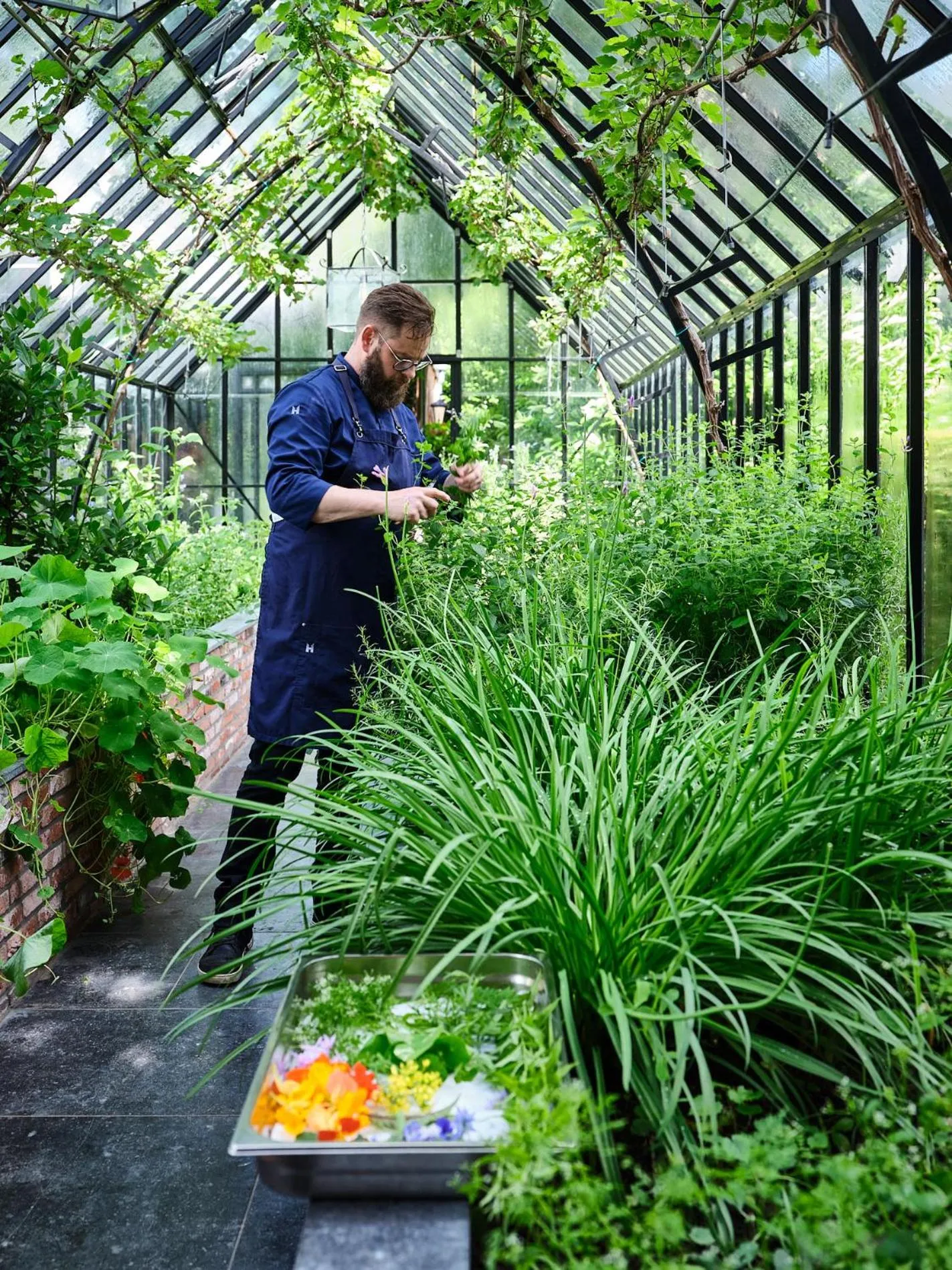 Garden in Hotel de Leijhof Oisterwijk