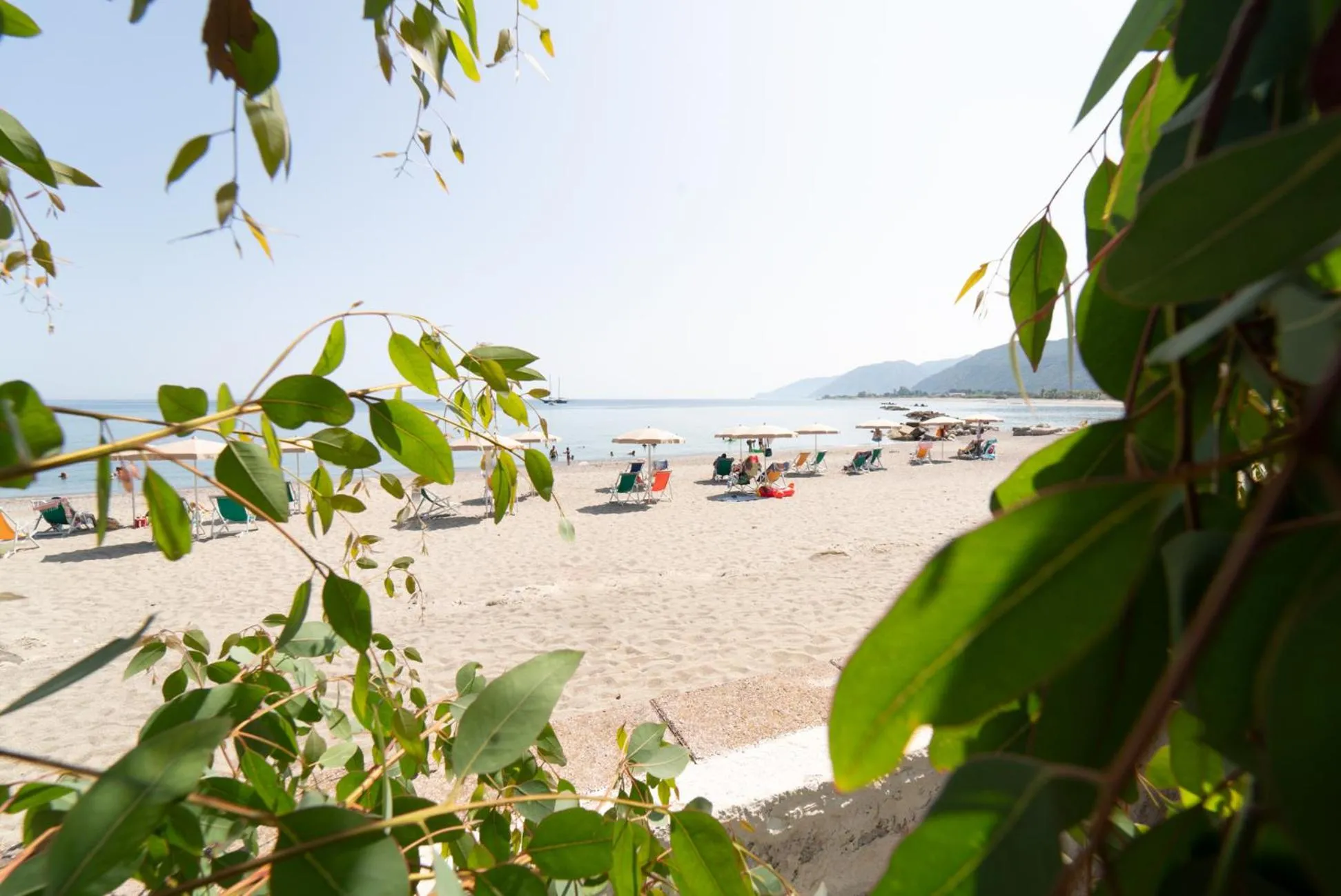 Beach in Testa di Monaco Natural Beach