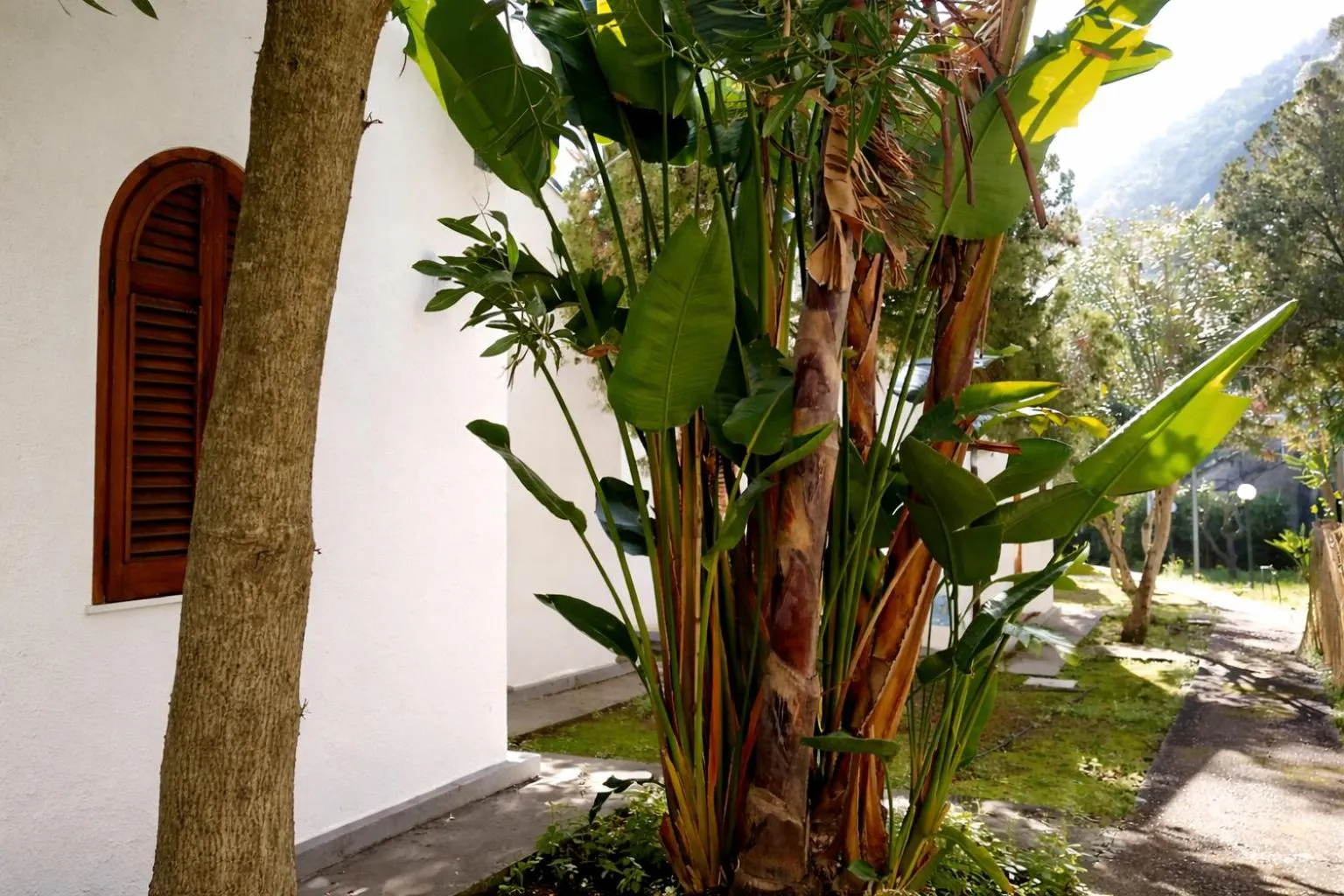 Property building in Testa di Monaco Natural Beach