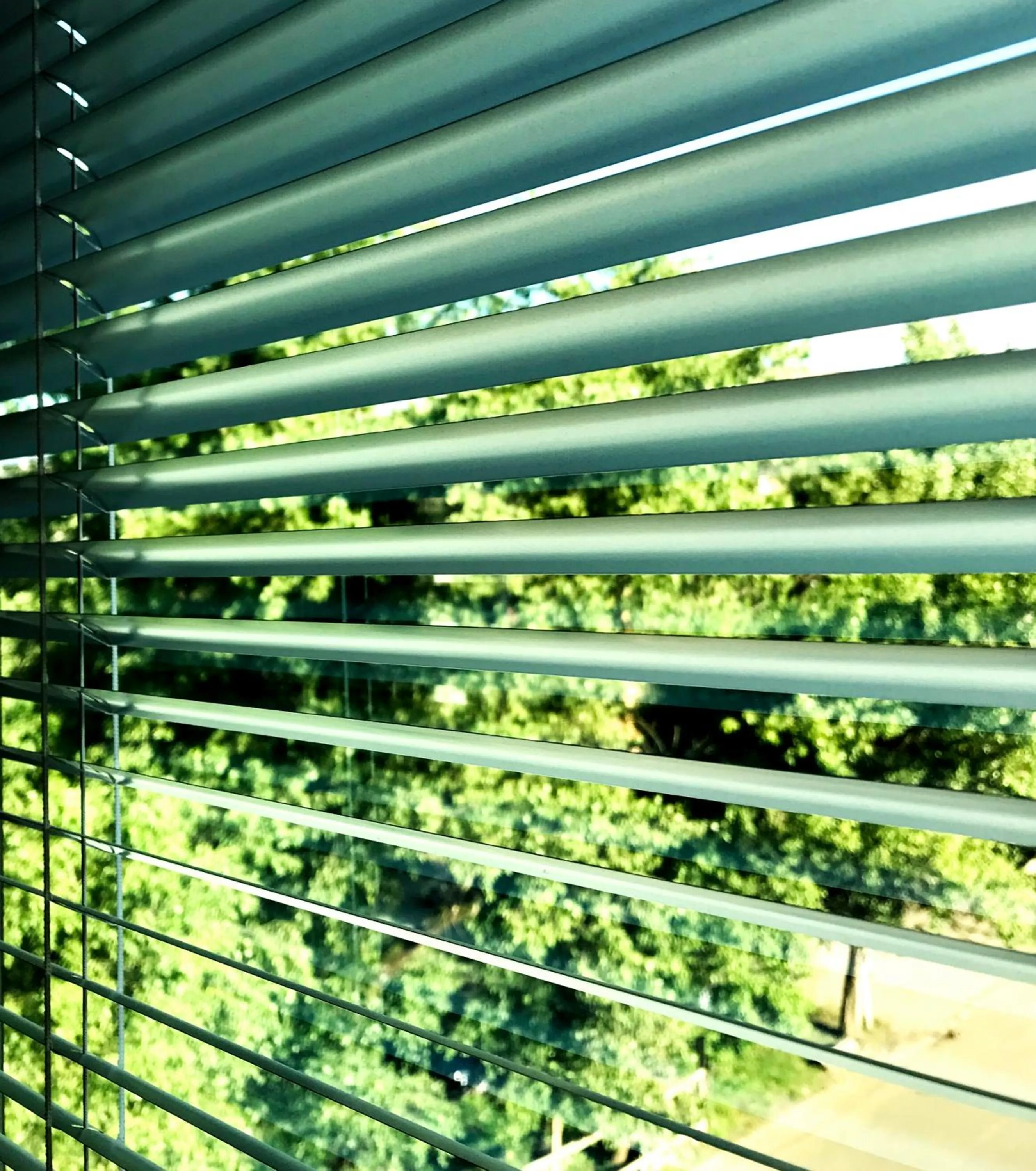 View (from property/room) in Continental Hotel