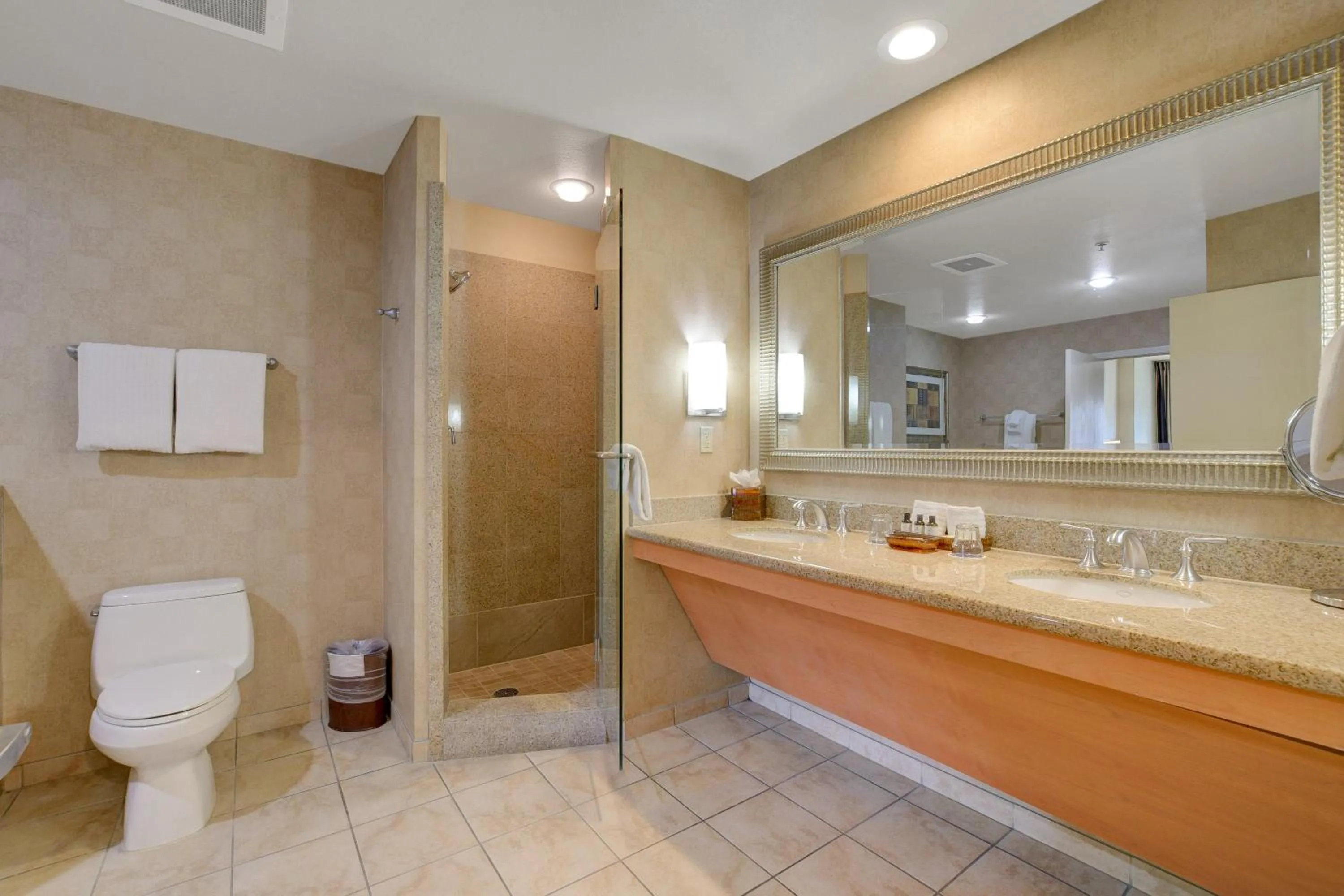 Shower in Princess Suite Platinum Hotel