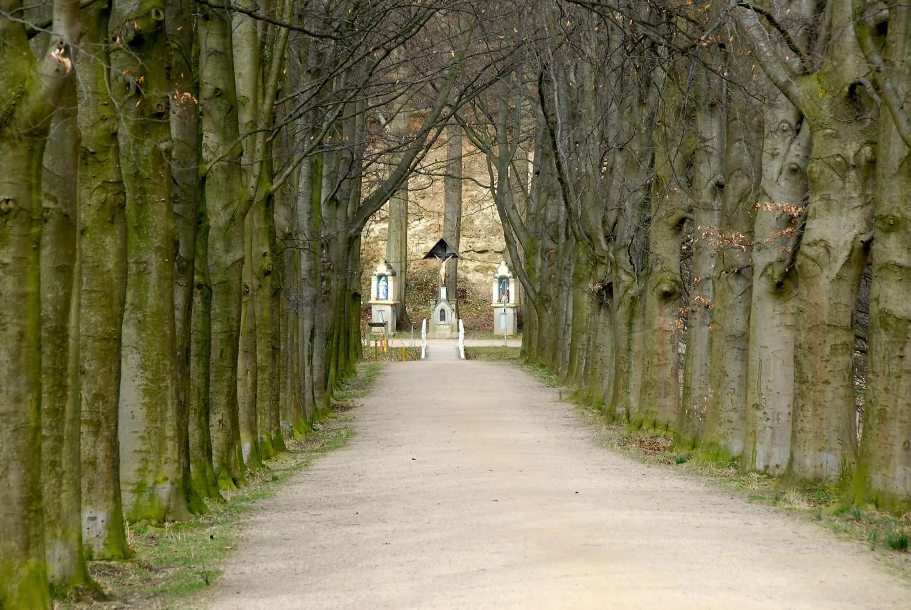 Natural landscape in Huis Ter Geul