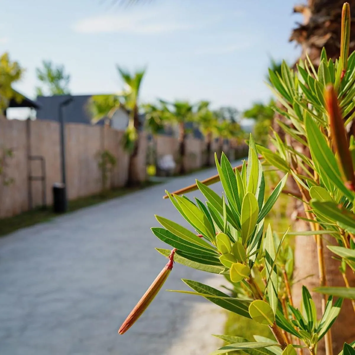 Property building in Vital Göl Sapanca Özel Havuzlu Bungalov & Villa