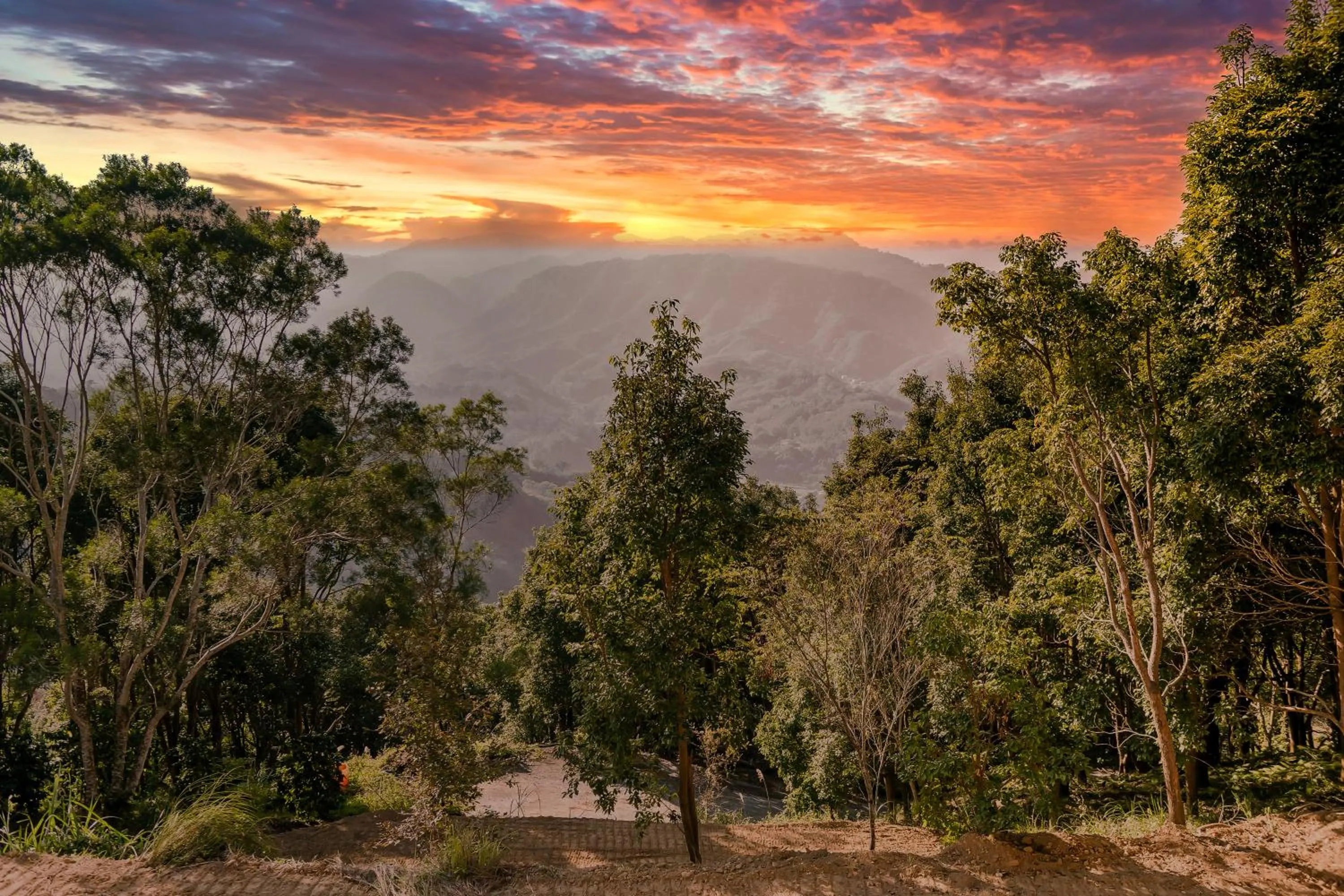 Natural landscape in Grow Tree Glamping