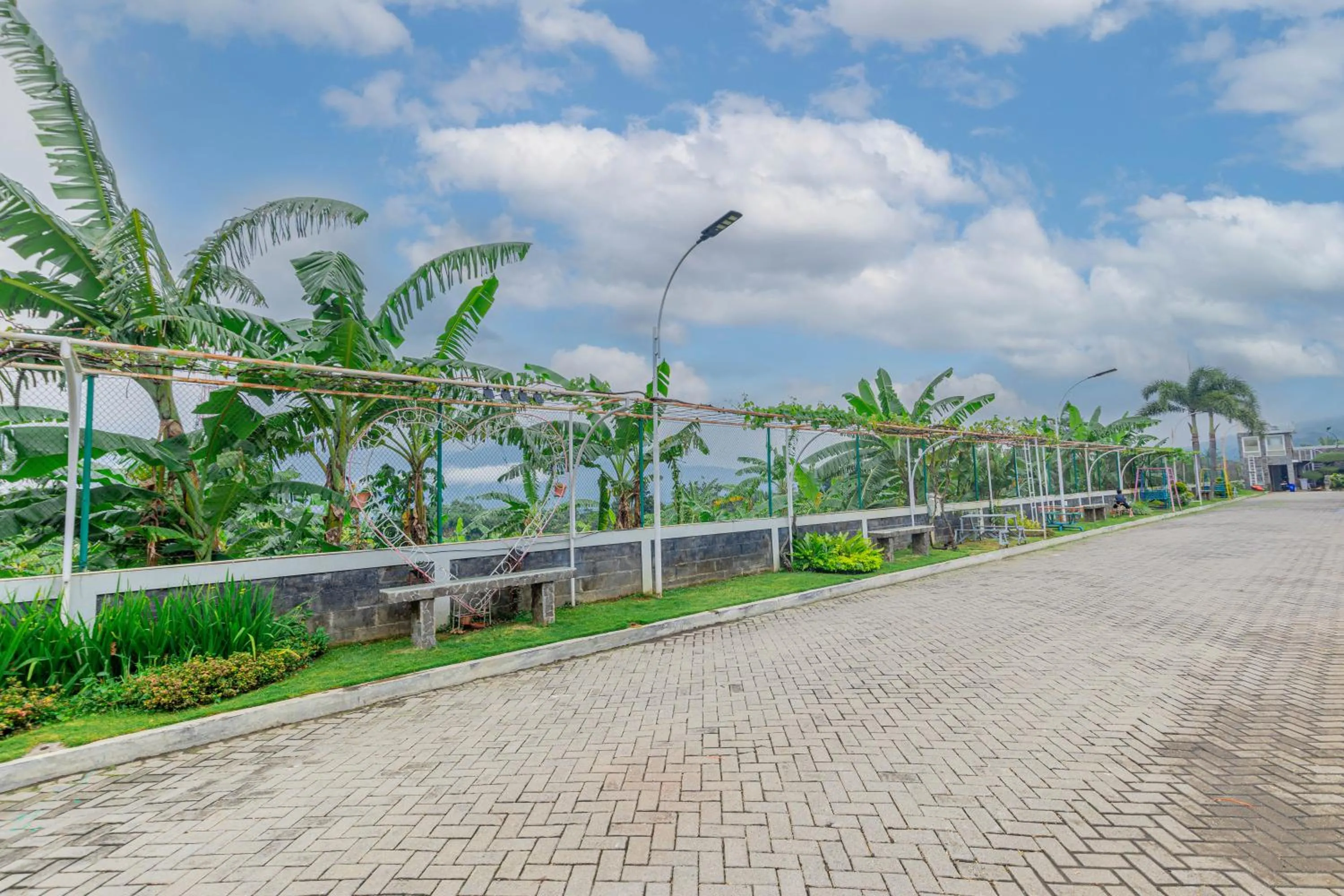 Natural landscape in Hotel Griya Katarina