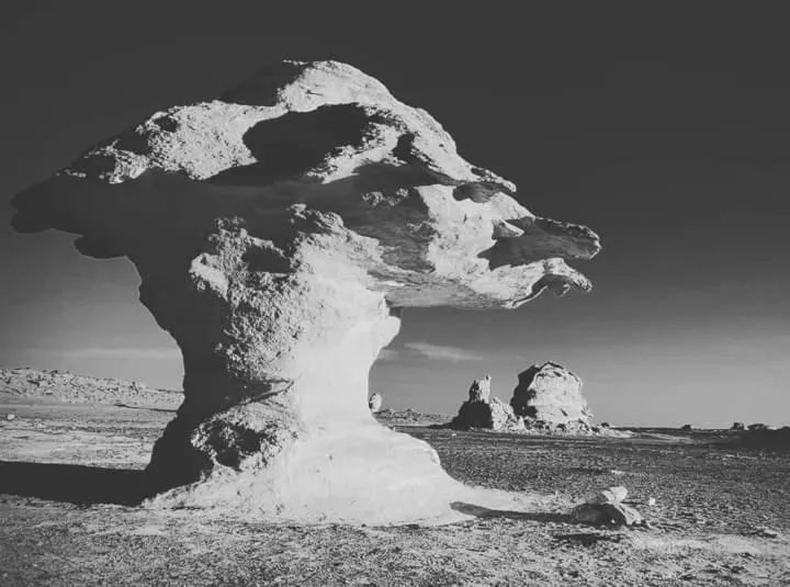 Sand Rose Bahriya Hotel