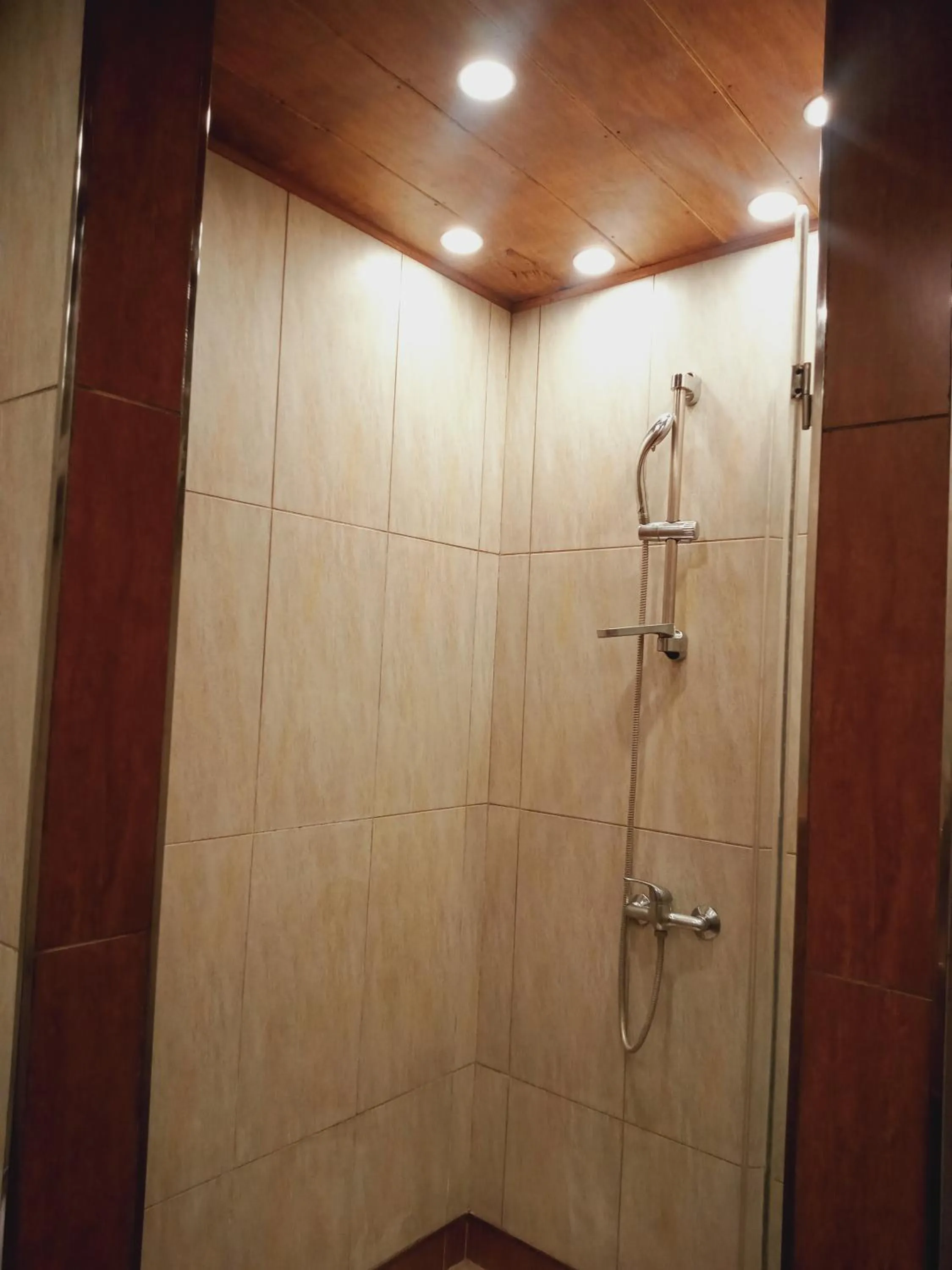 Shower in CITI HOTEL