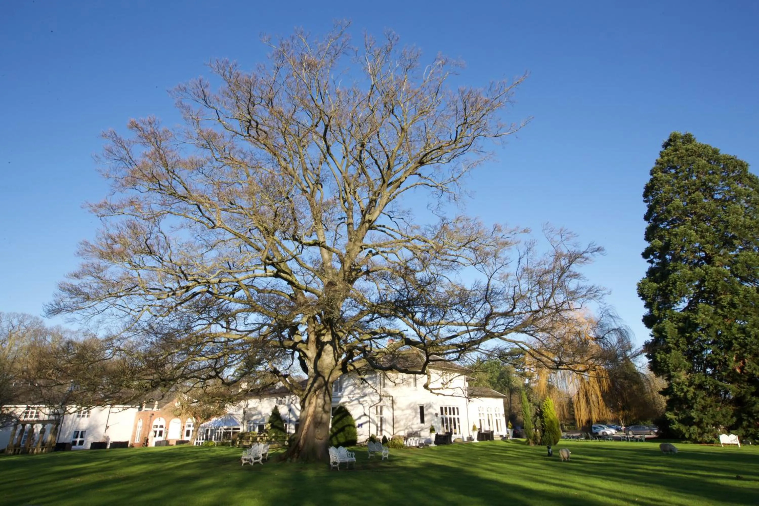 Facade/entrance in Wrexham Llyndir Hotel by Belvilla