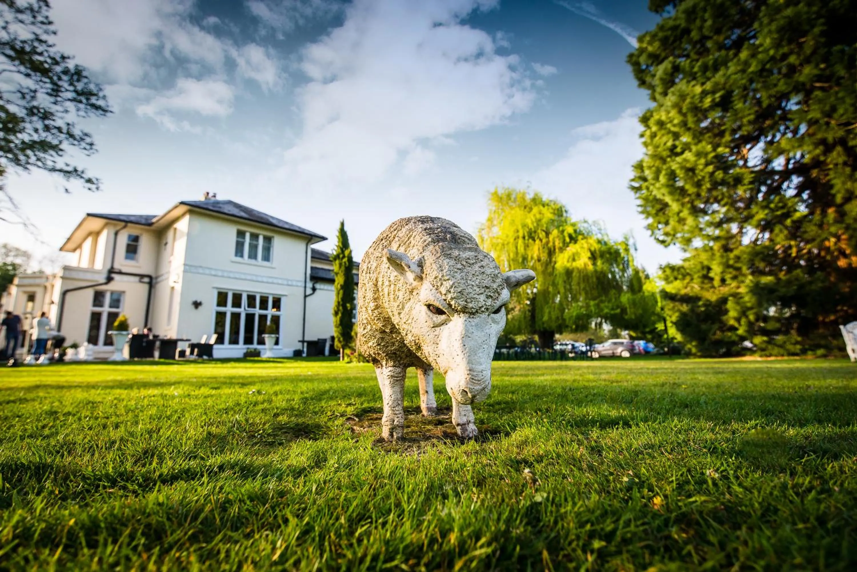 Activities in Wrexham Llyndir Hotel by Belvilla