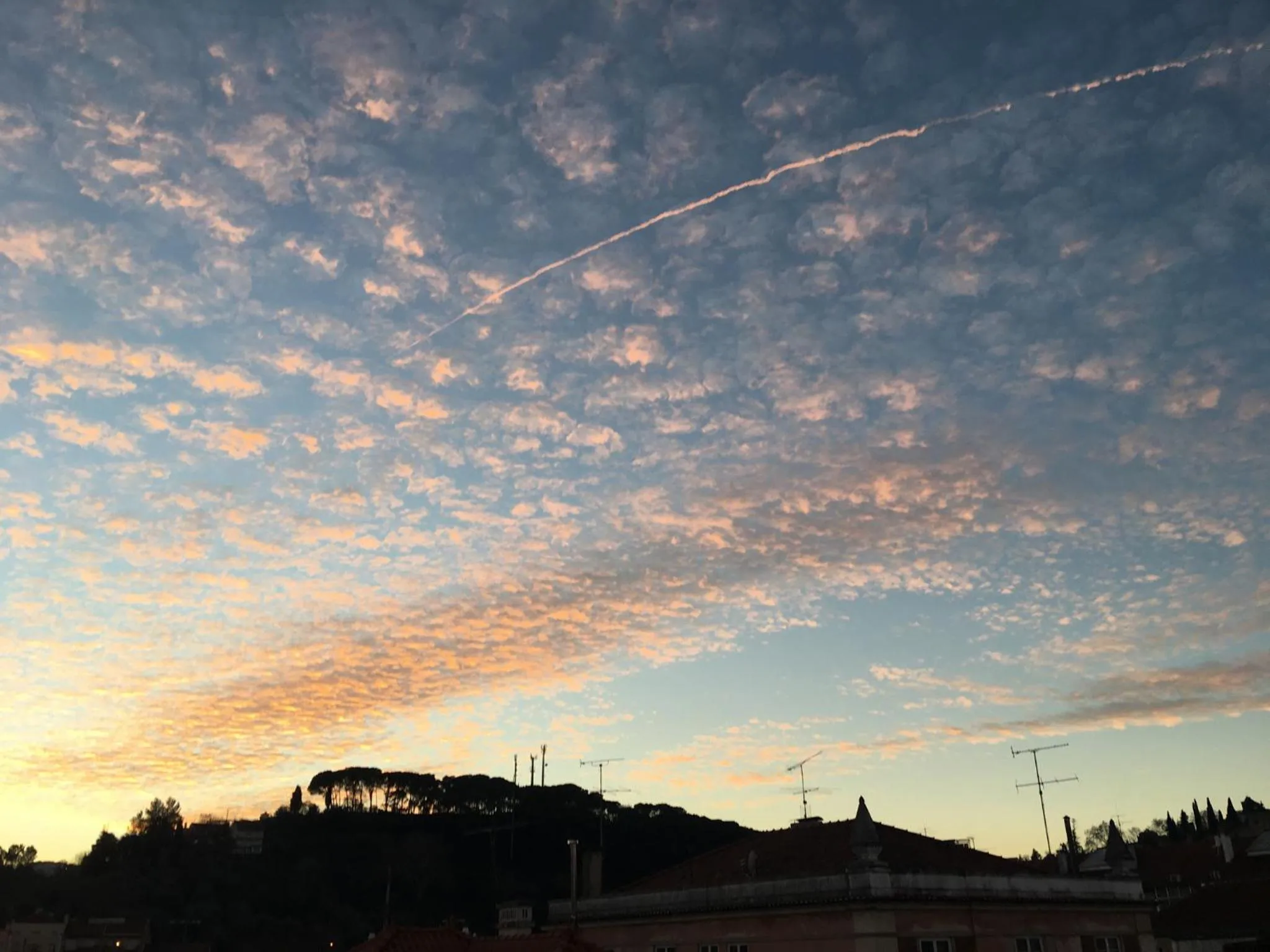 Natural landscape in Residencial Avenida Hostel