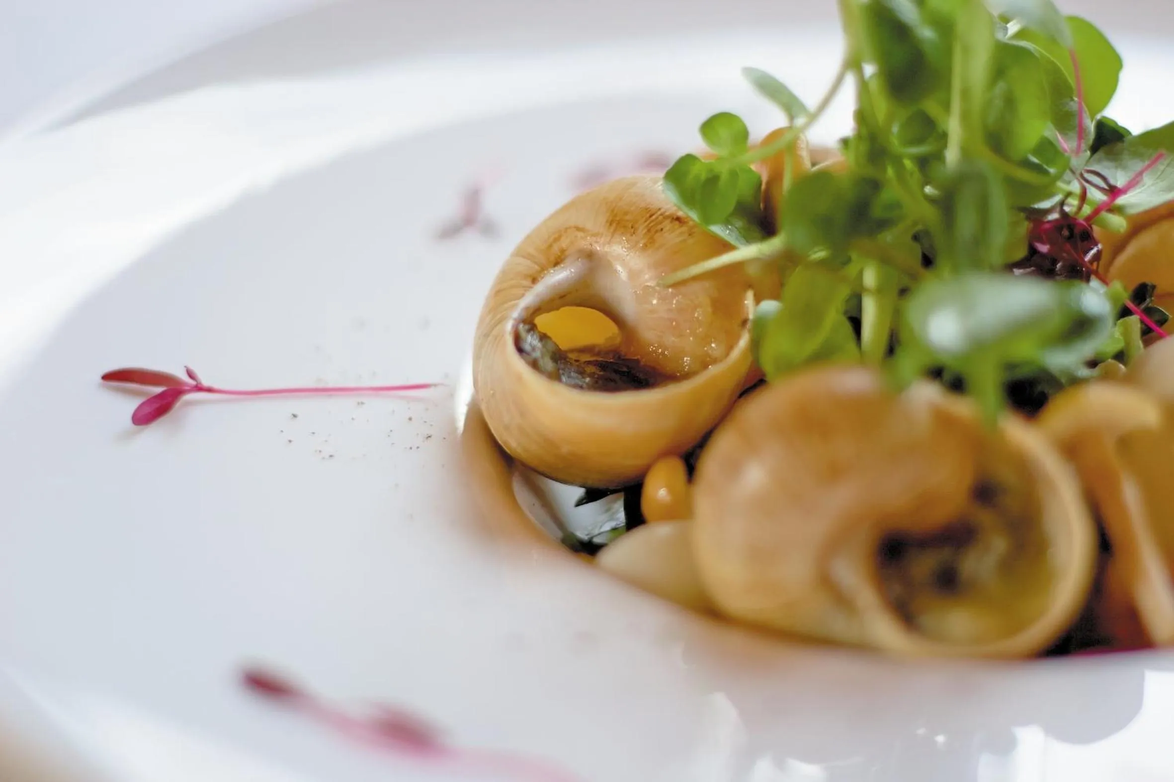 Food close-up in Cotford Hotel
