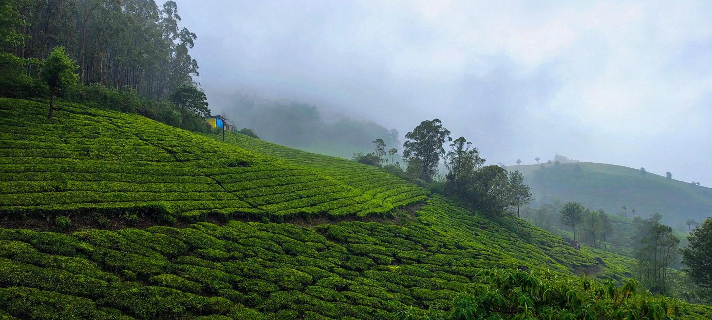 Landmark view in Munnar Valley View