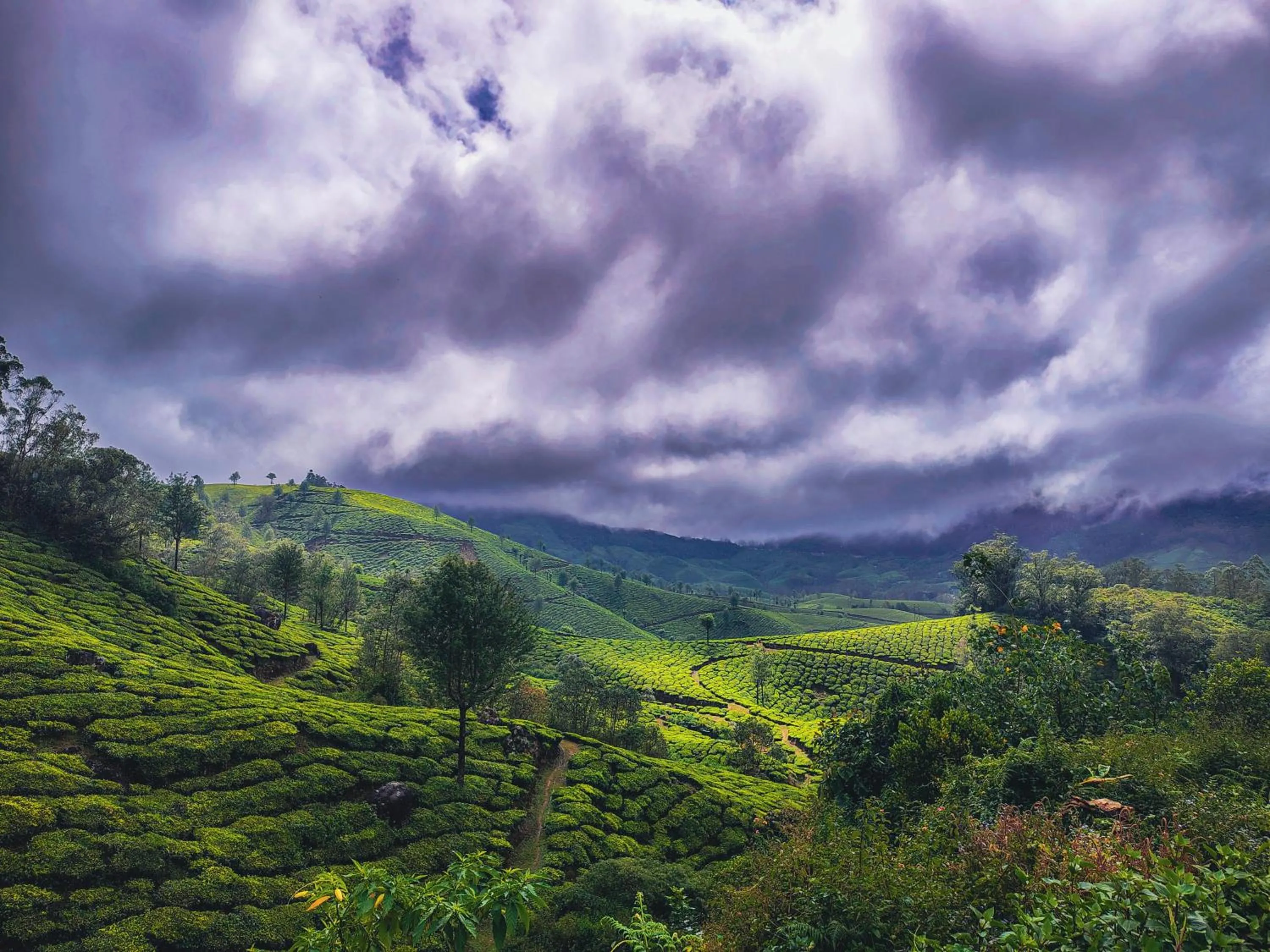 Landmark view in Munnar Valley View