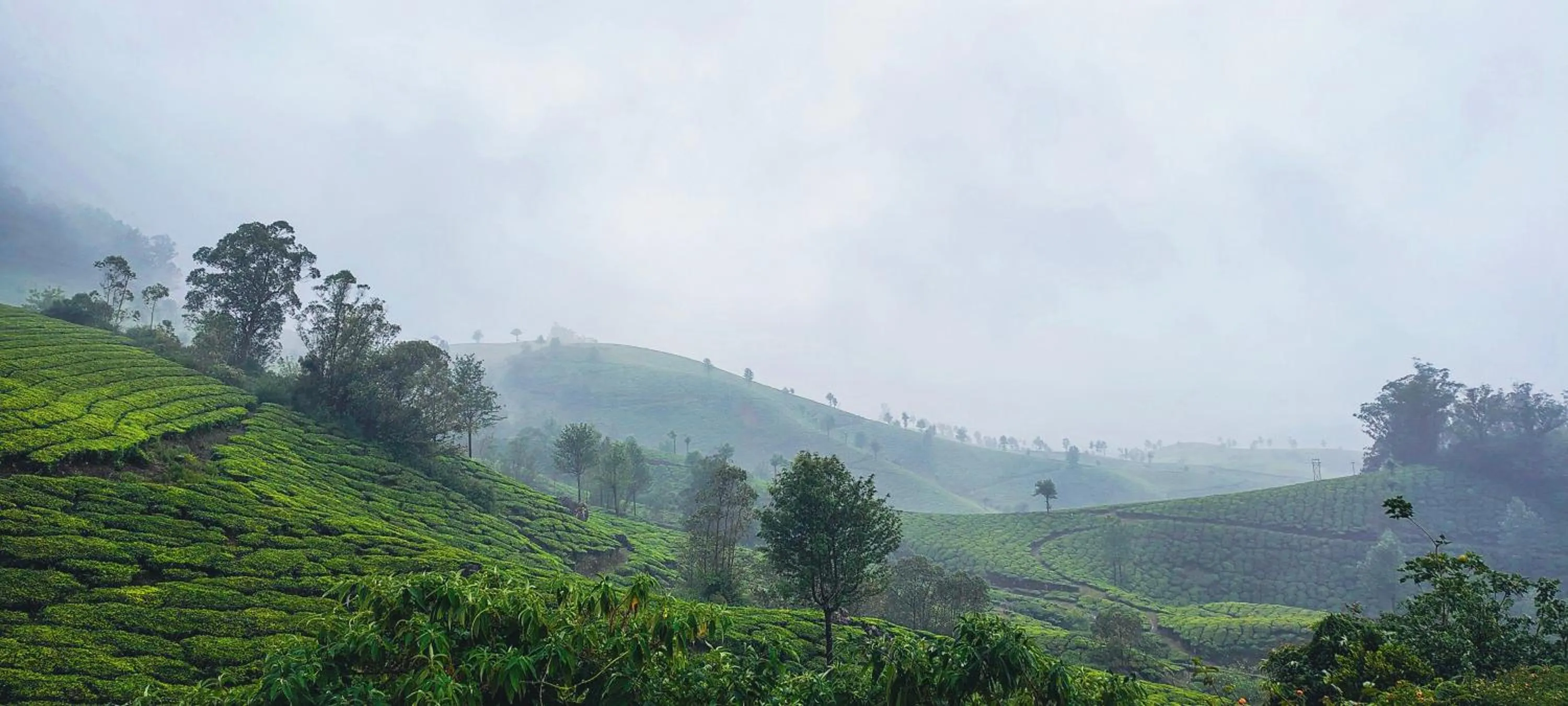 Landmark view in Munnar Valley View