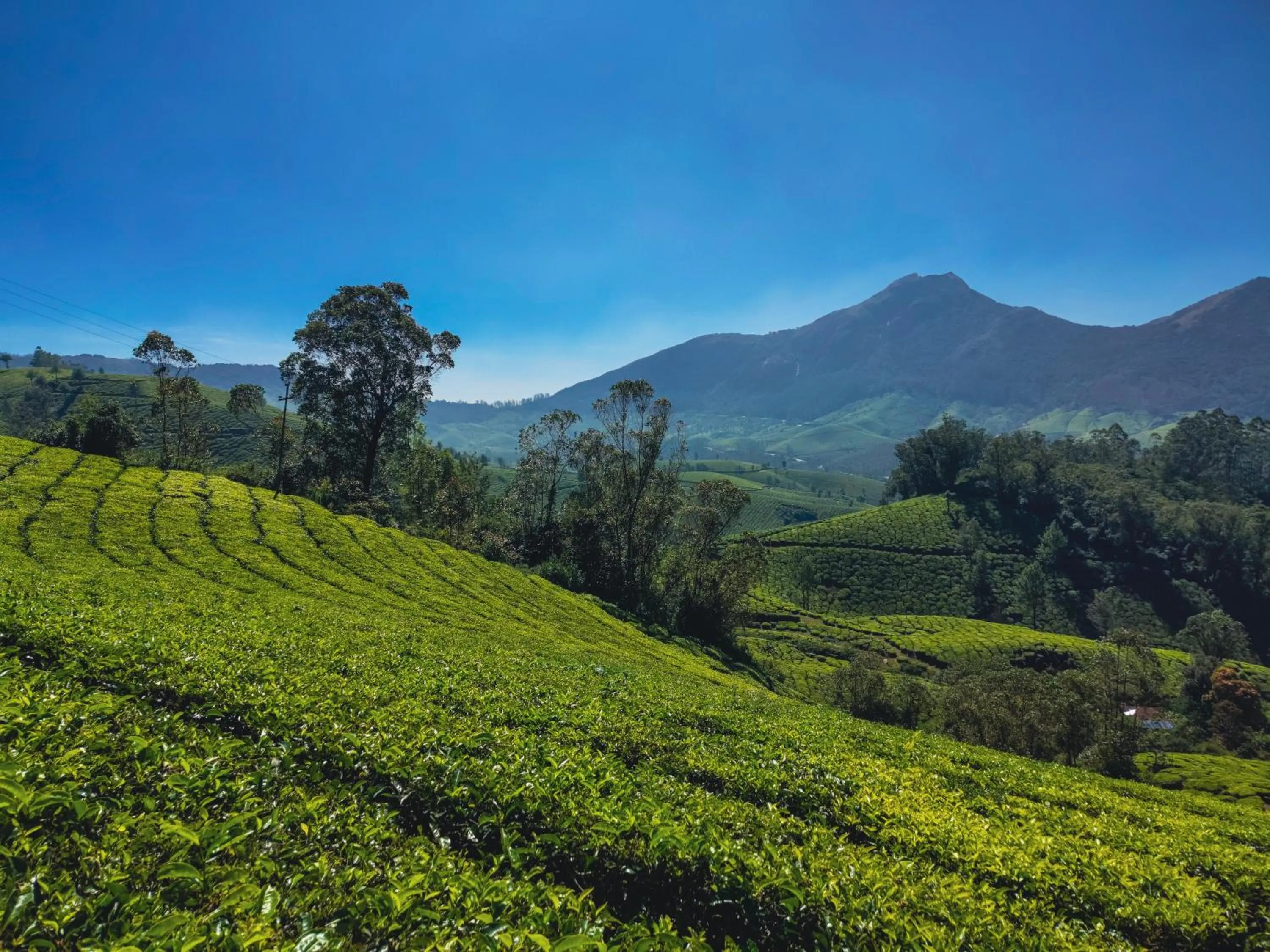 Landmark view in Munnar Valley View