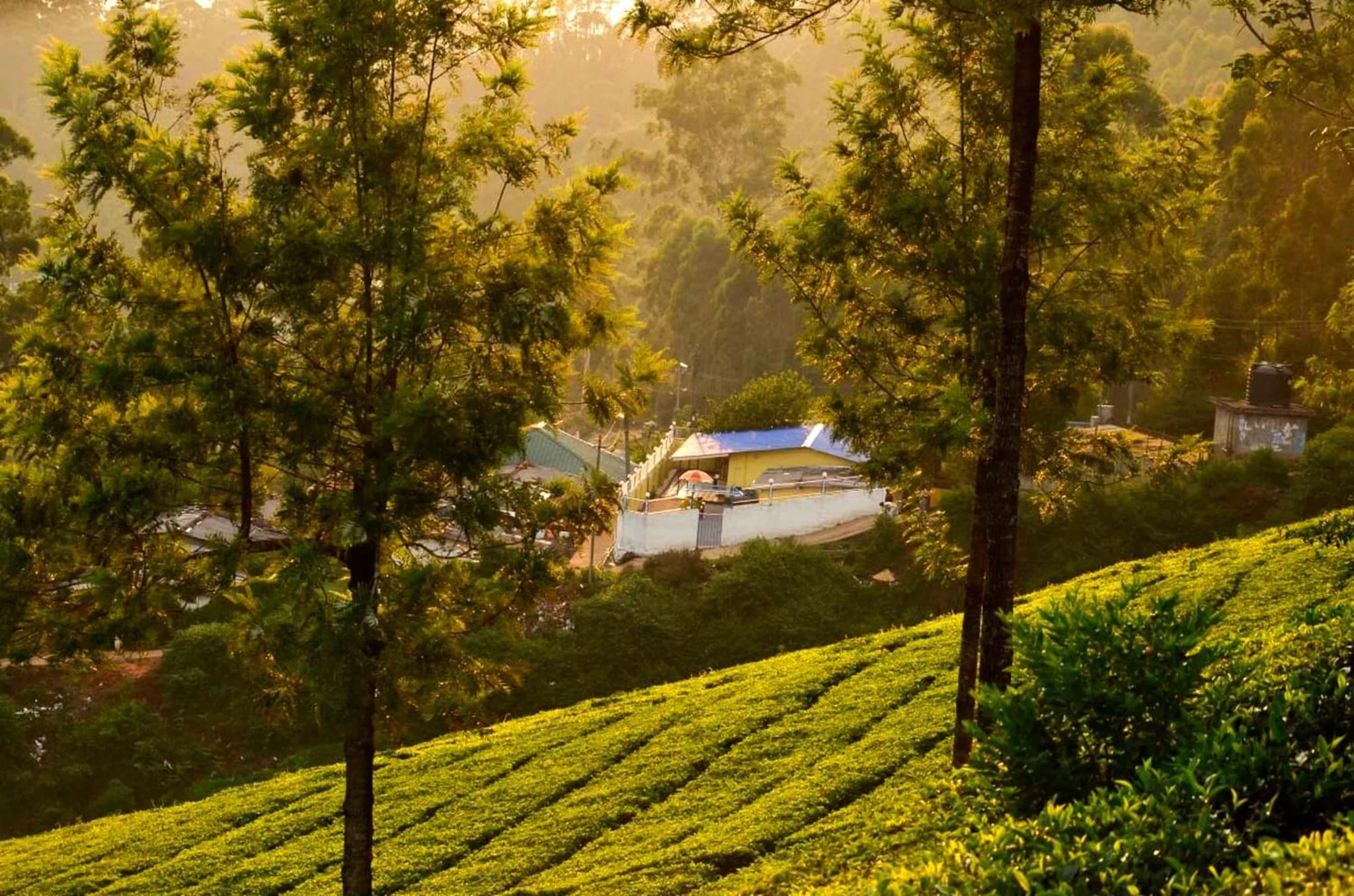 Property building in Munnar Valley View