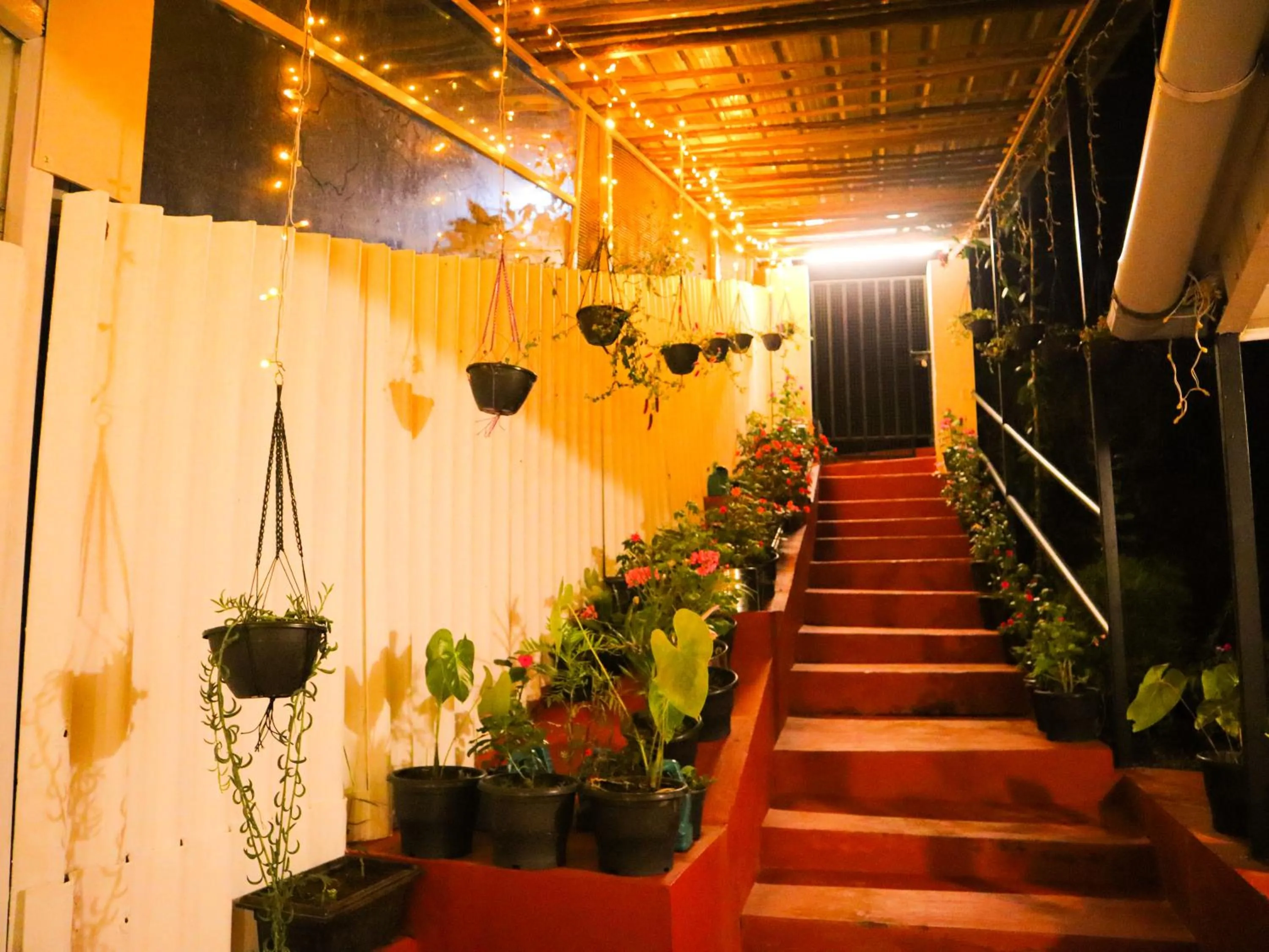 Property building in Munnar Valley View