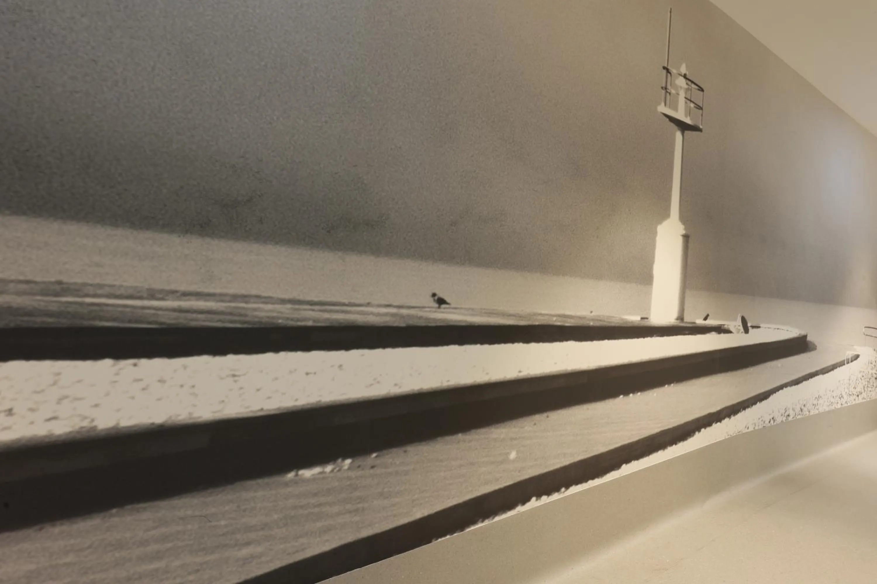 shuttle in FLORAMARE HEALTH RESORT