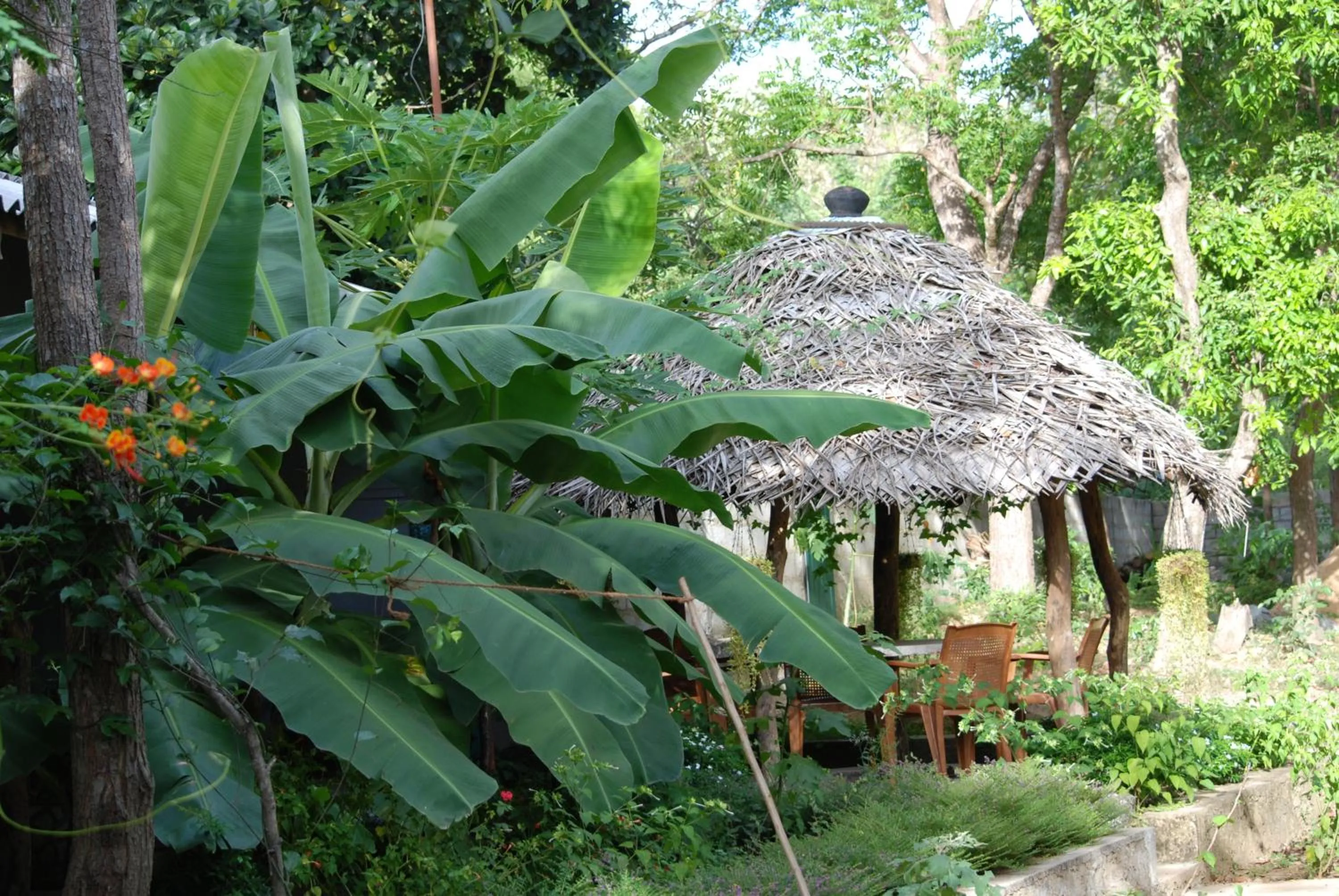 Day in A4 Villa & Spa.