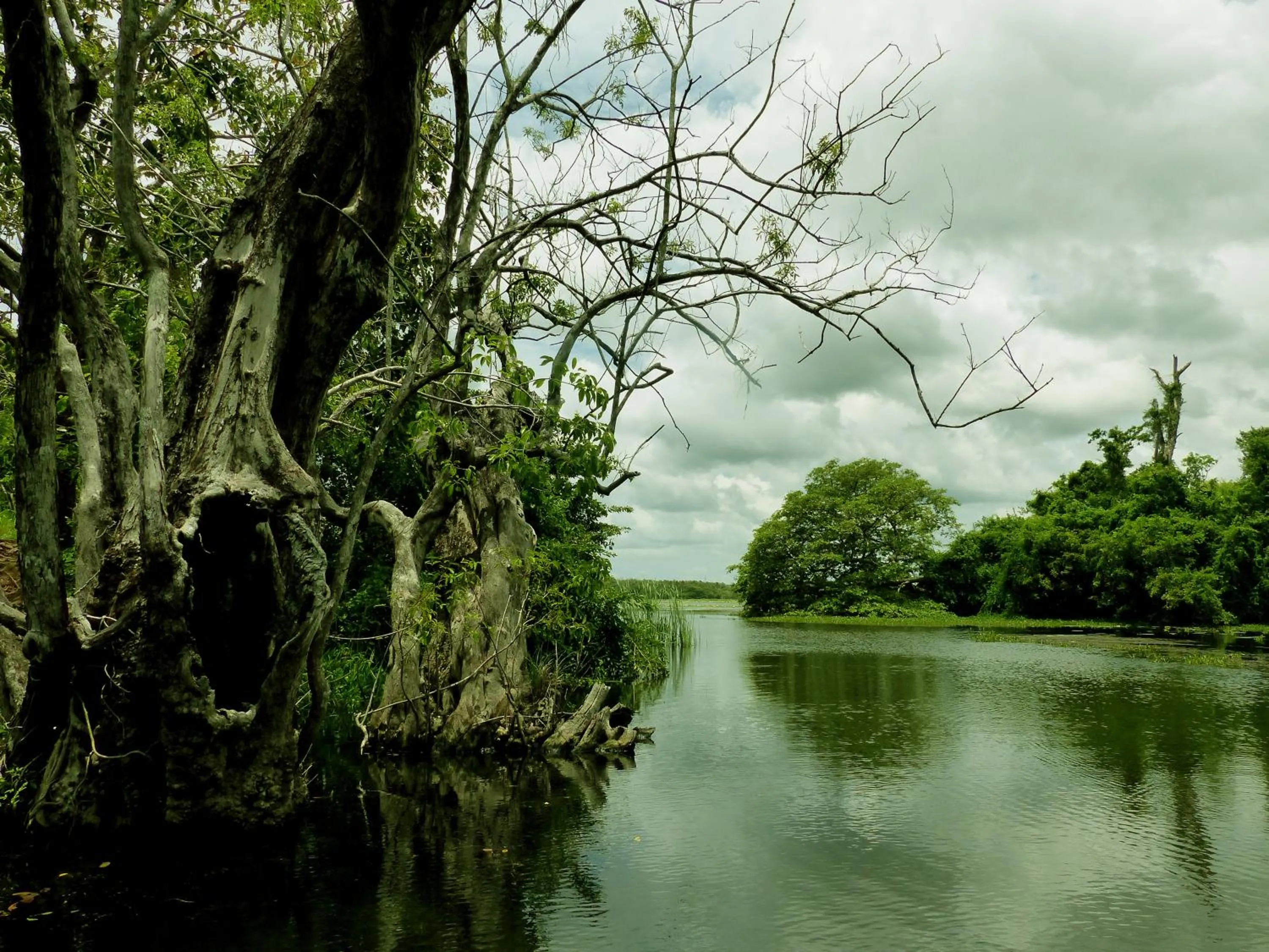 Activities in A4 Villa & Spa.