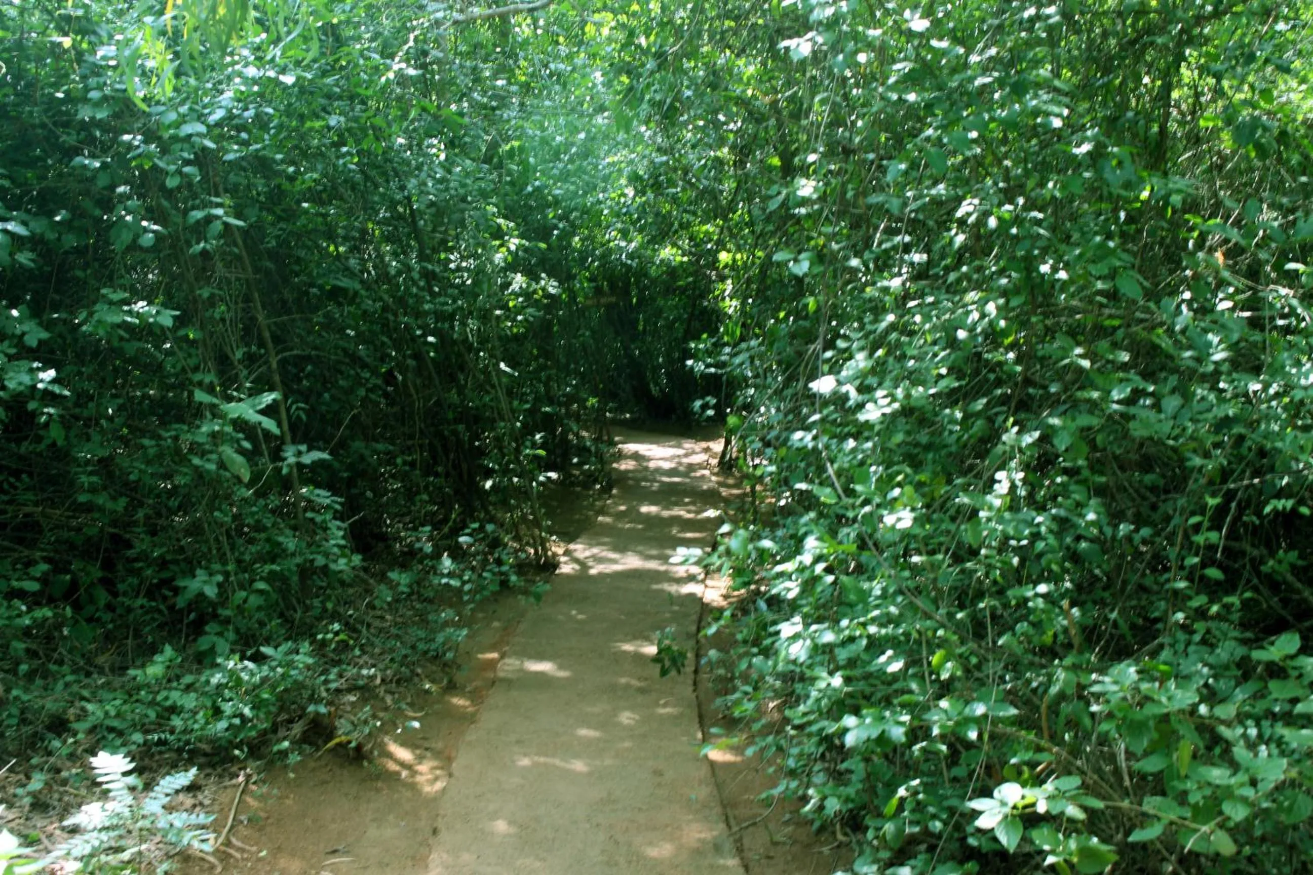 Spa and wellness centre/facilities in A4 Villa & Spa.