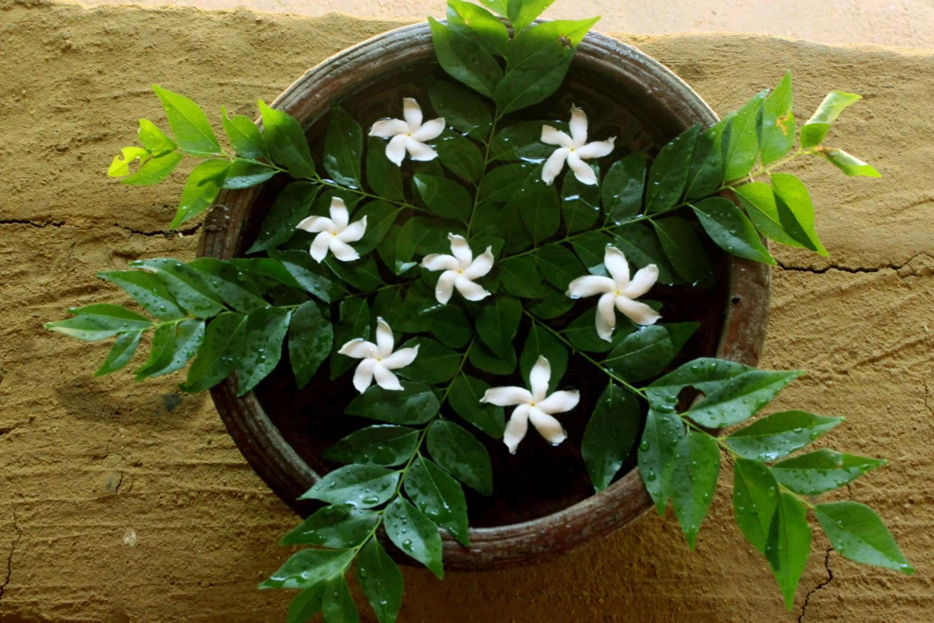 Spa and wellness centre/facilities in A4 Villa & Spa.