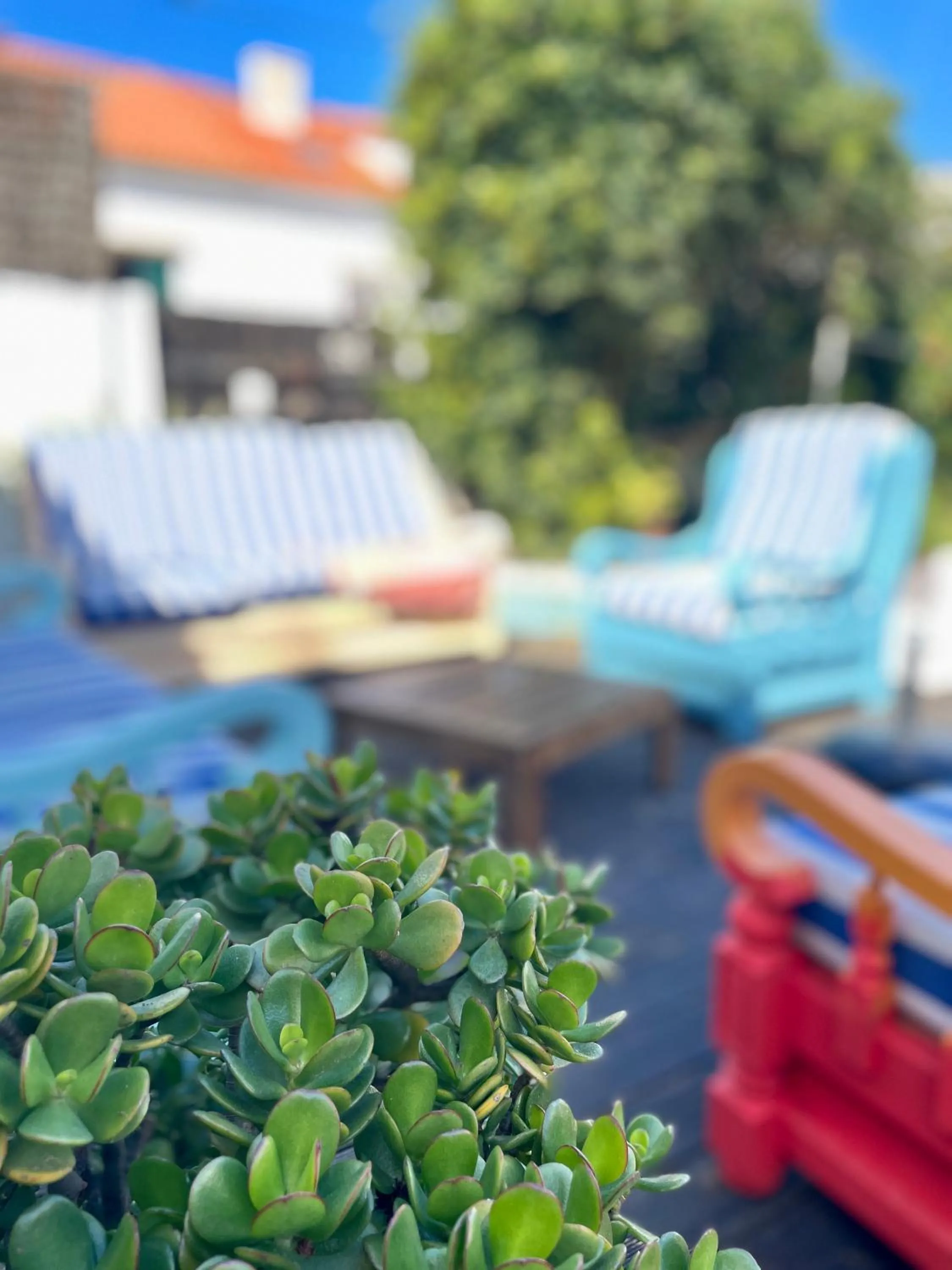 Garden in Native Surfhouse
