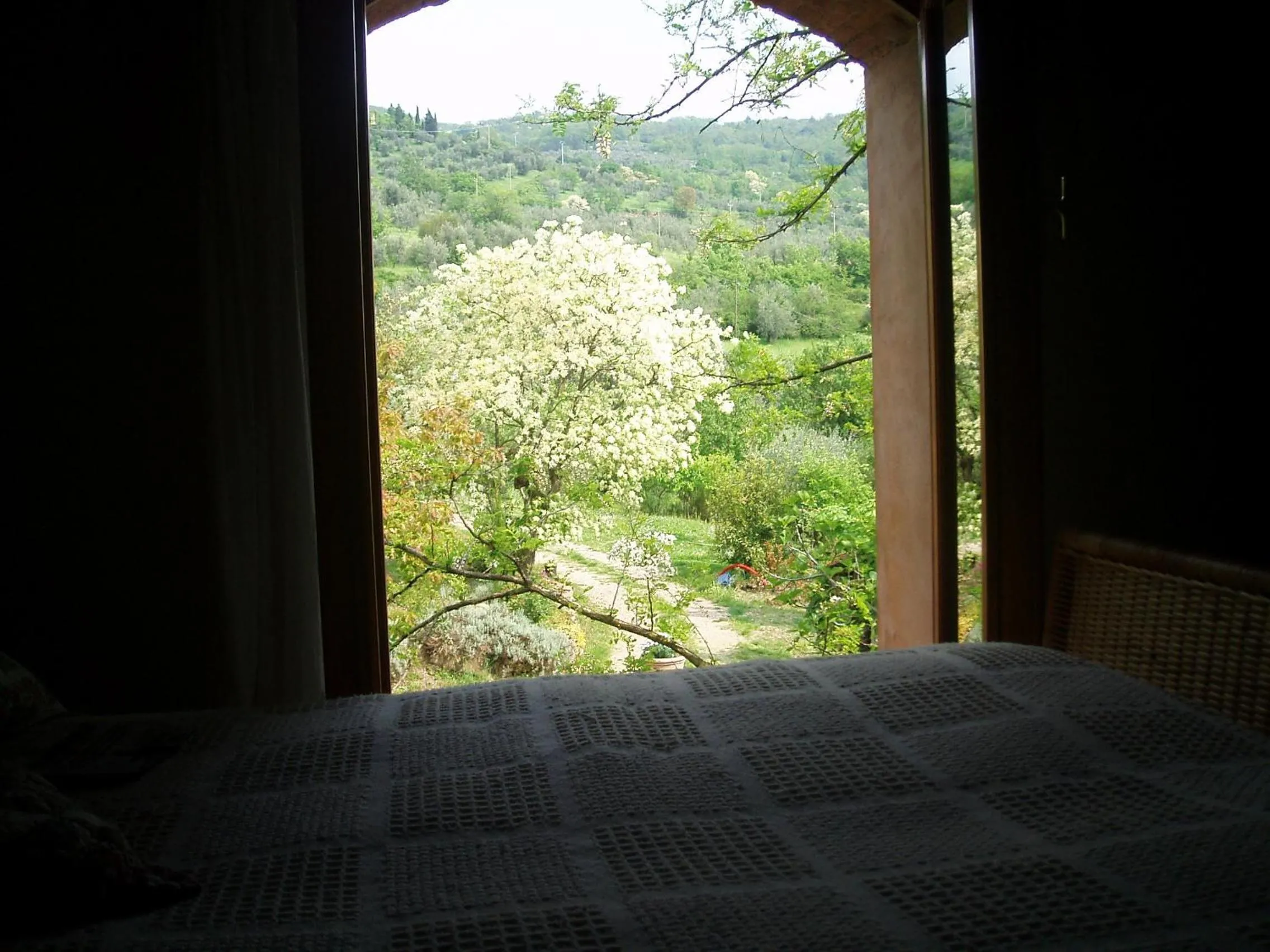 Fattoria il Leccio Independent Apartment on Florence Hills