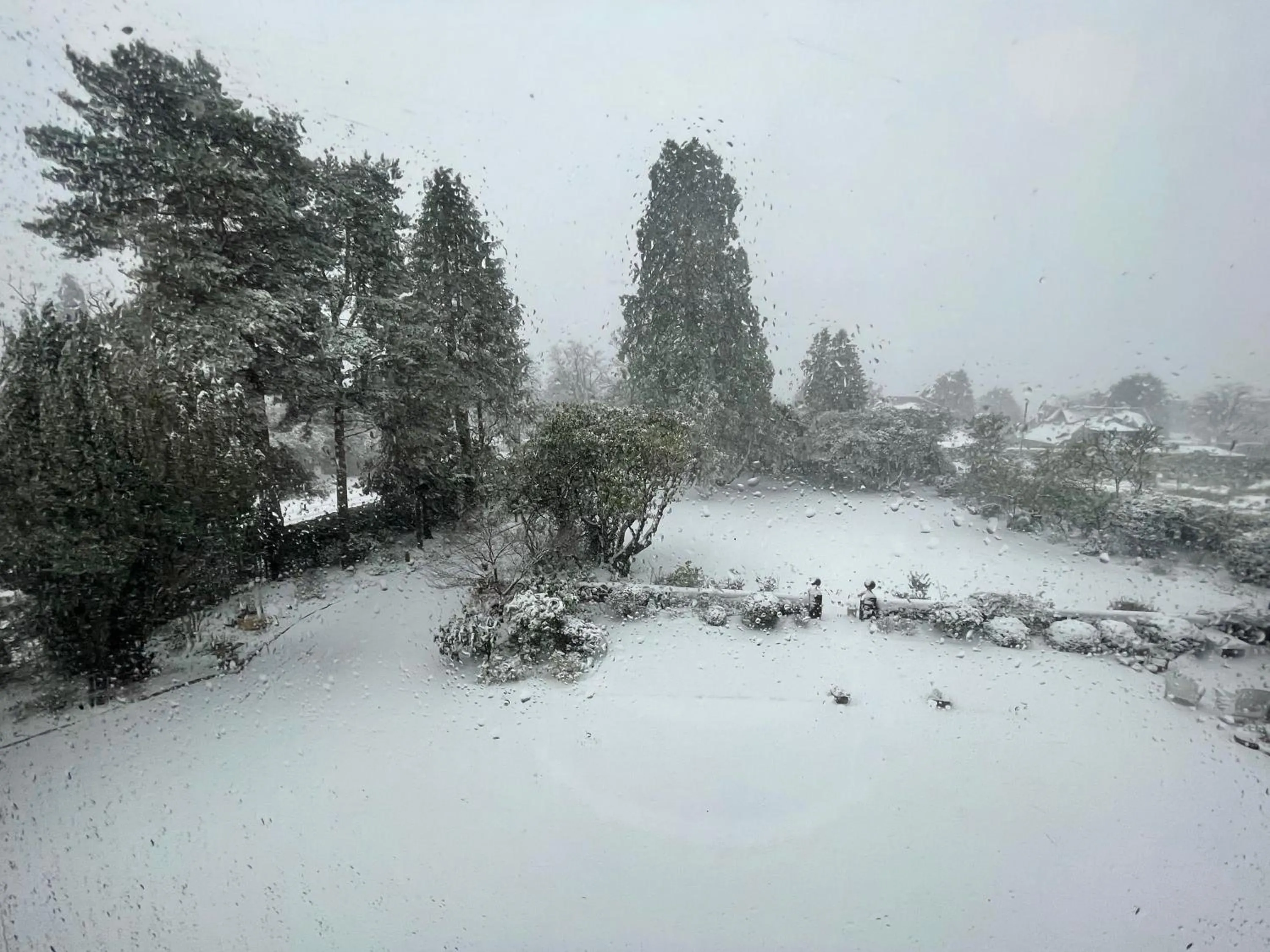 Natural landscape in Moorlands