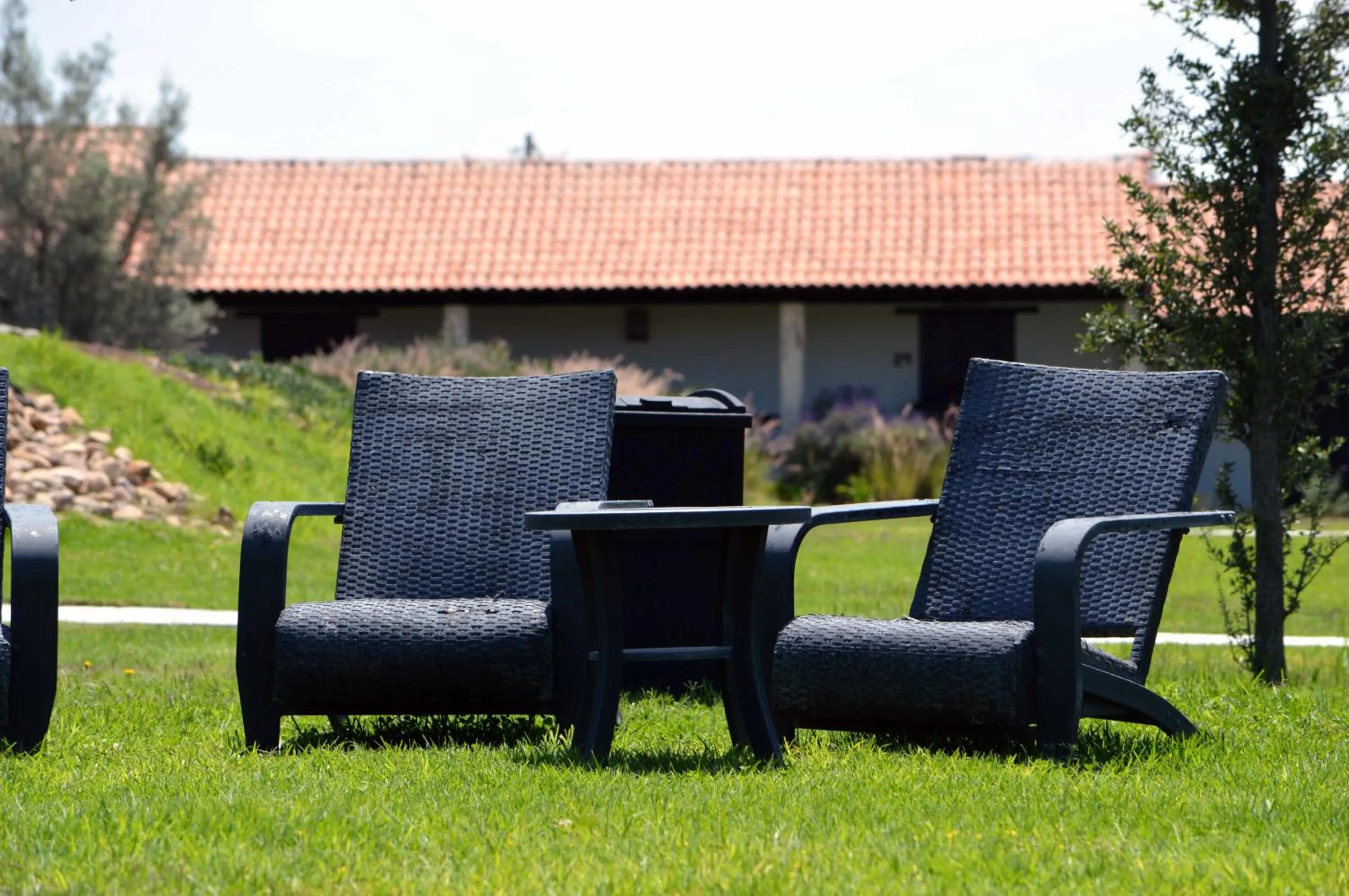 Garden in Hacienda Los Picachos