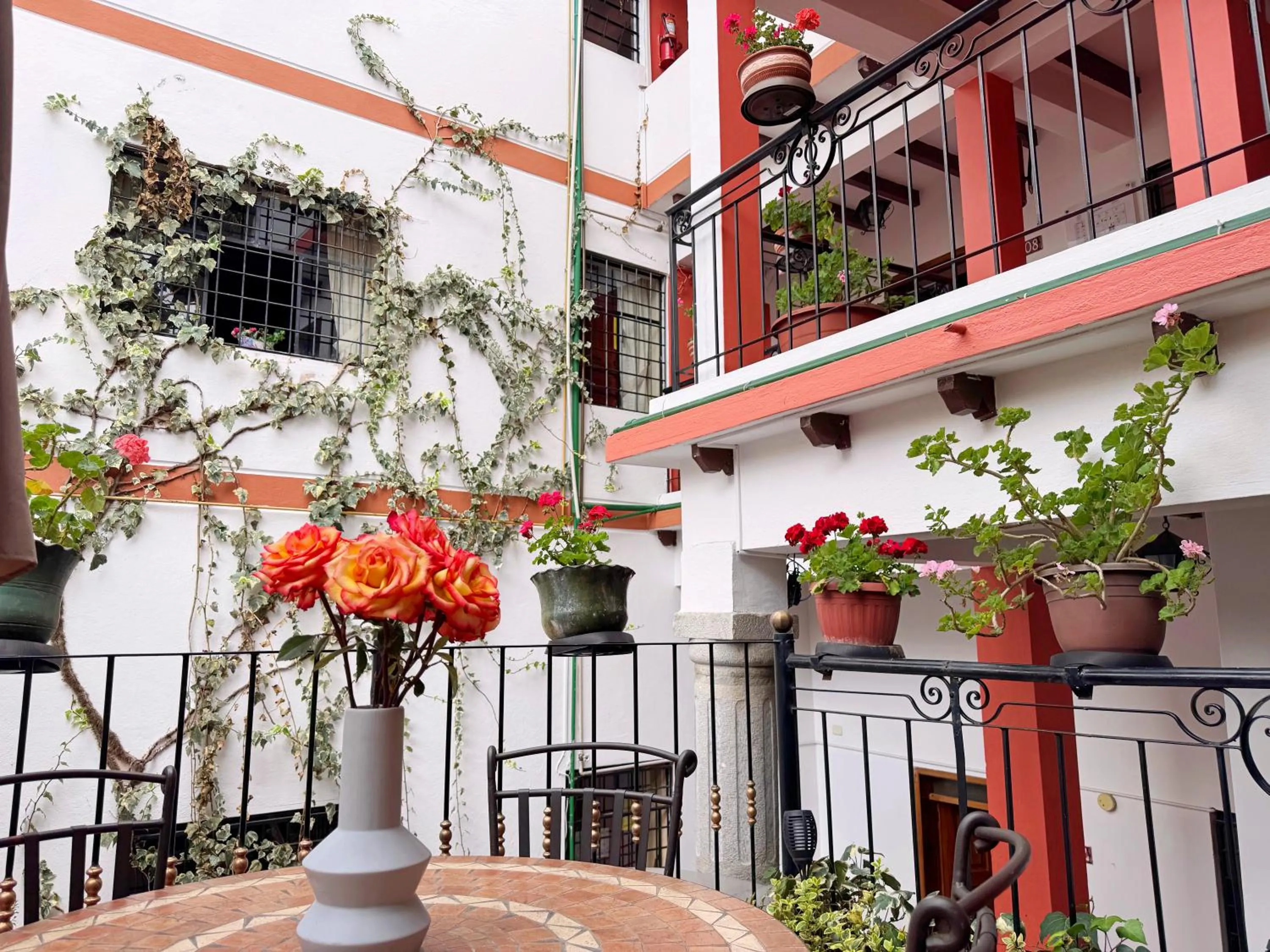 Patio in Rincón Familiar Hostel Boutique