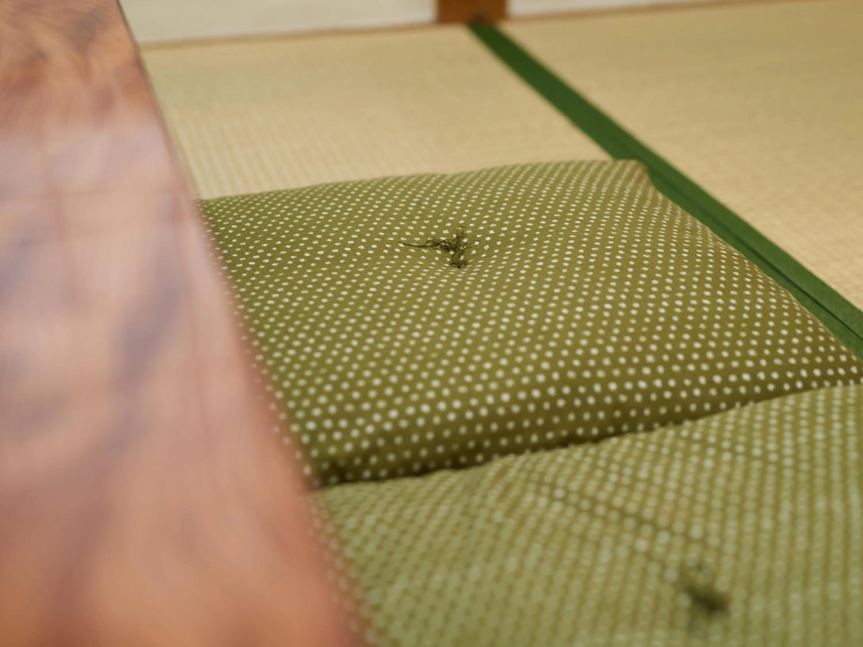 Photo of the whole room in Hayamasou