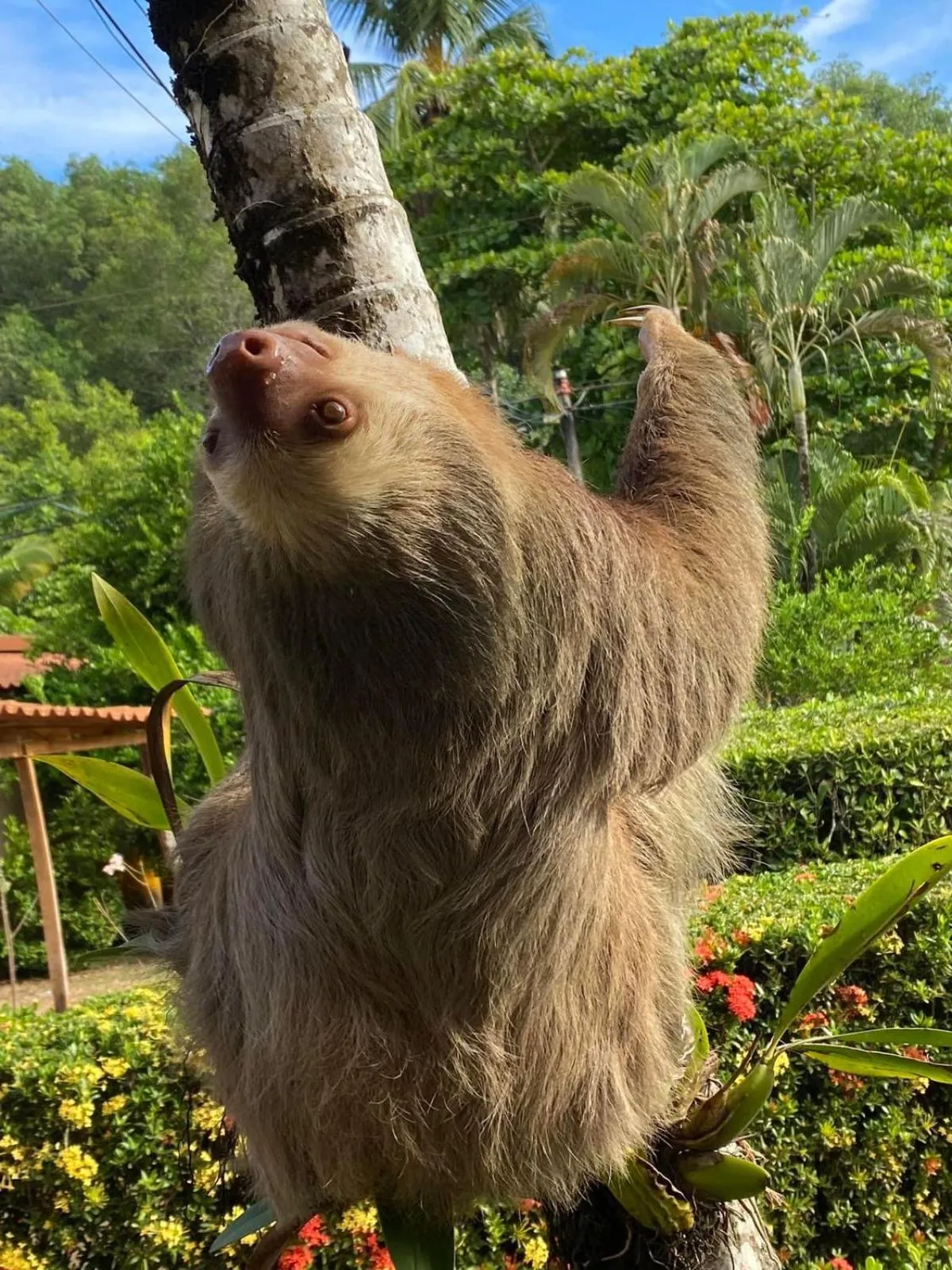 Natural landscape in Hotel Delfin Playa Bejuco