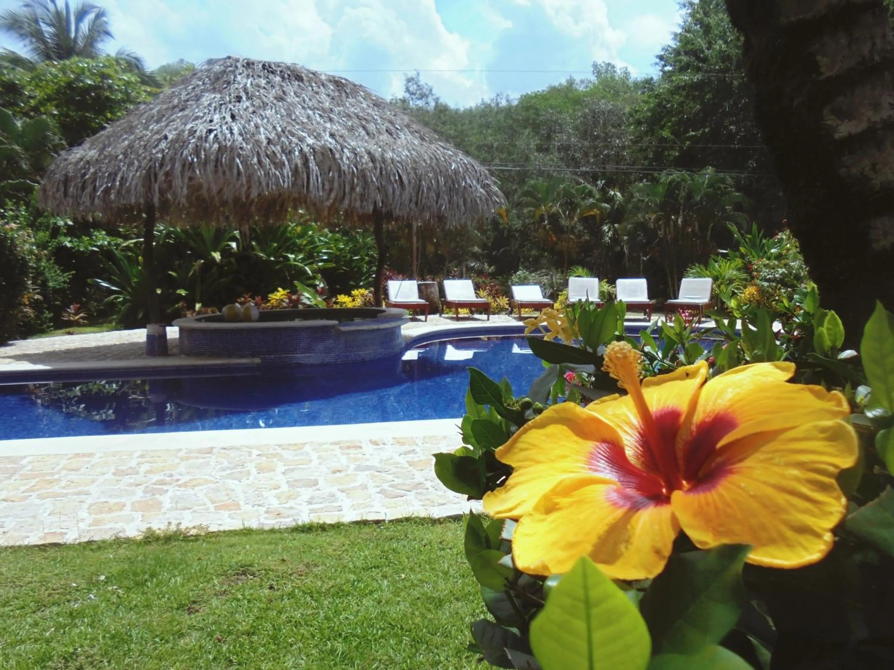 Off site in Hotel Delfin Playa Bejuco